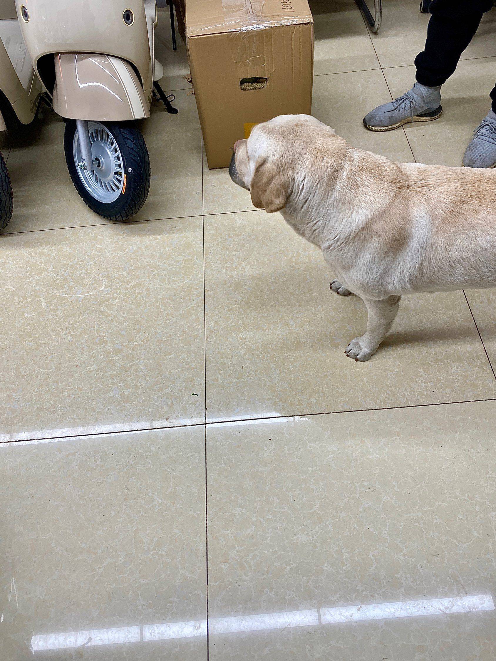 快过年啦啦啦_3