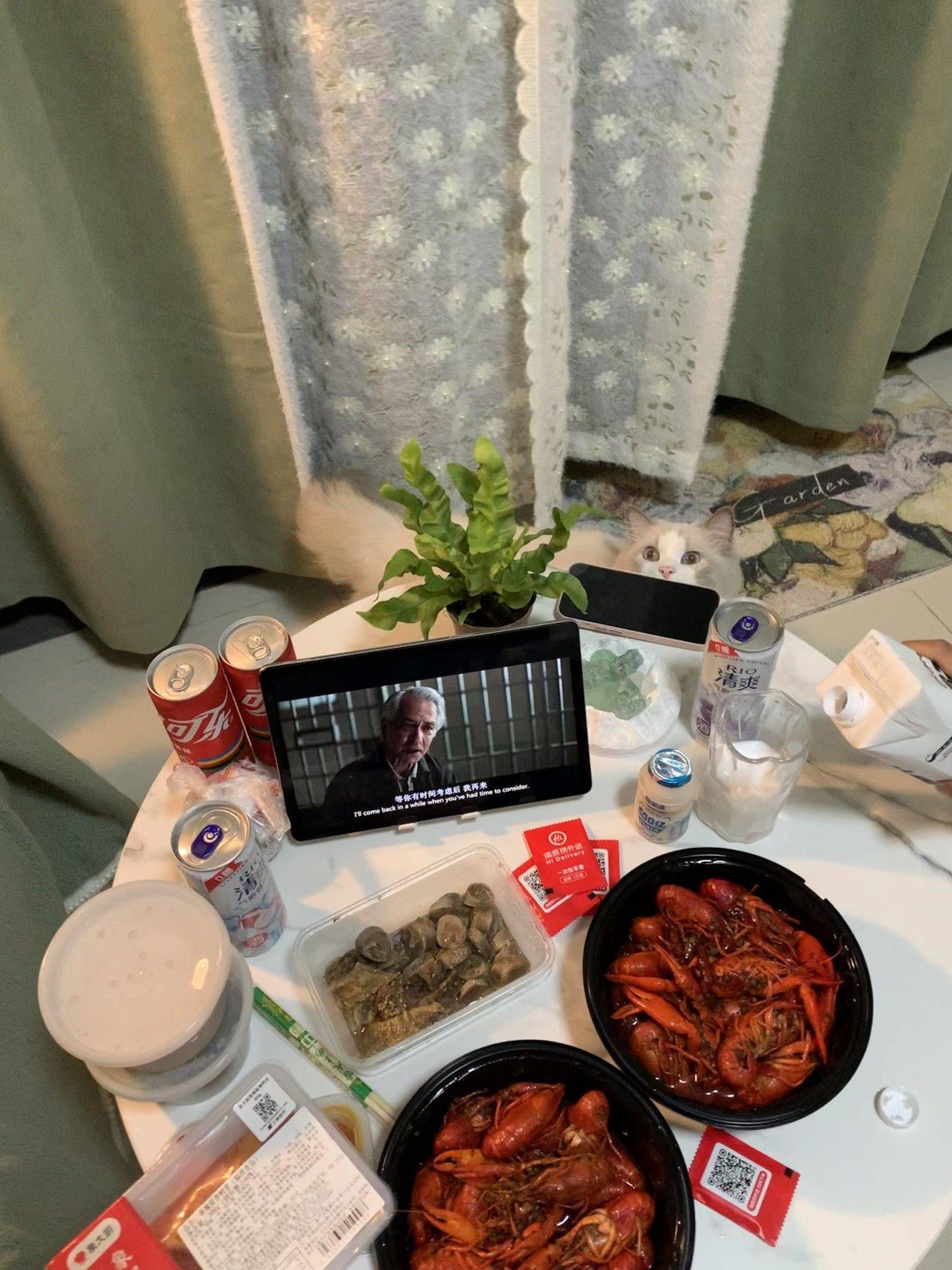 铲屎老登！怎么不先喂我