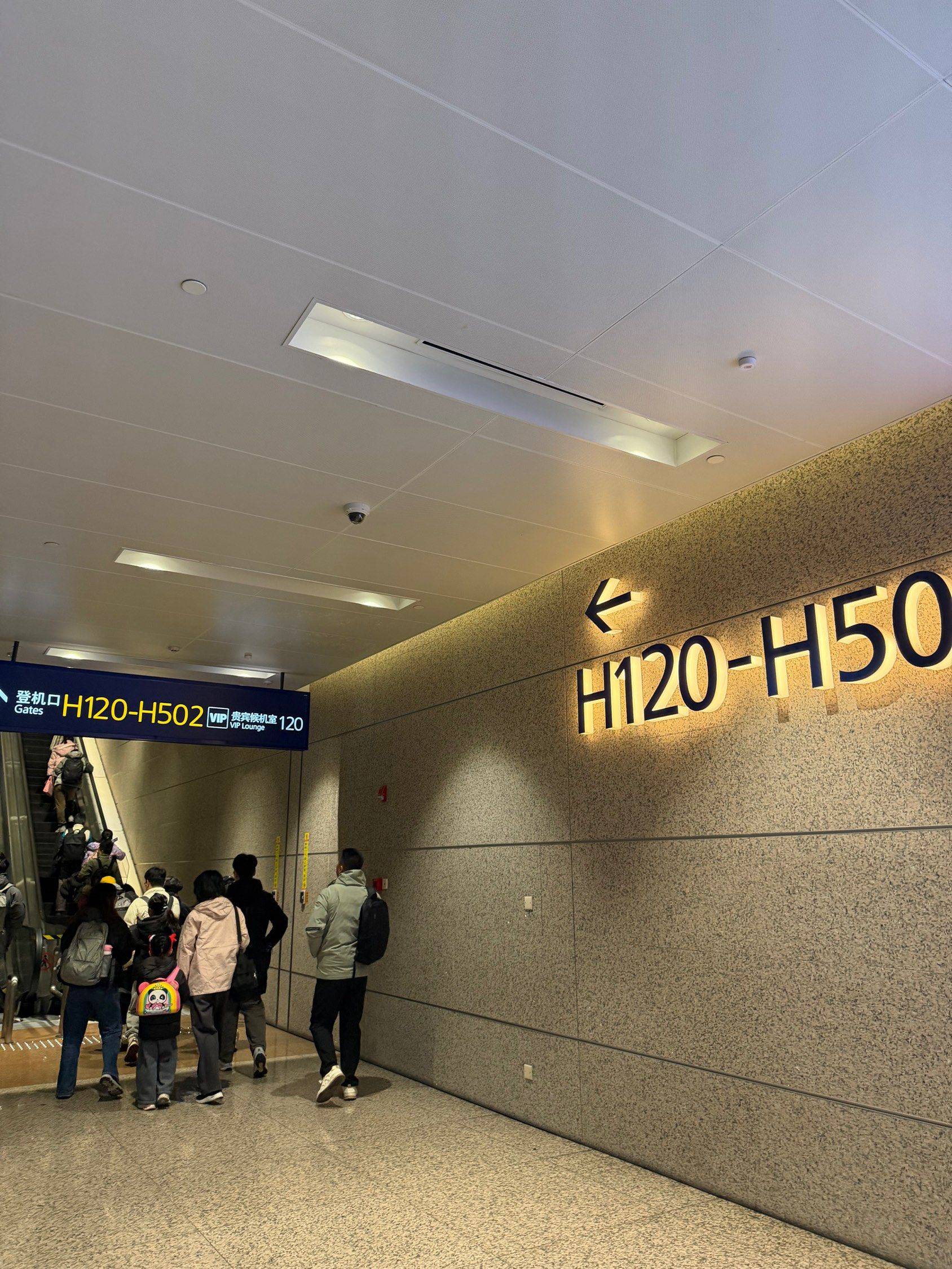 浦东H口怎么不直接开到我家里去