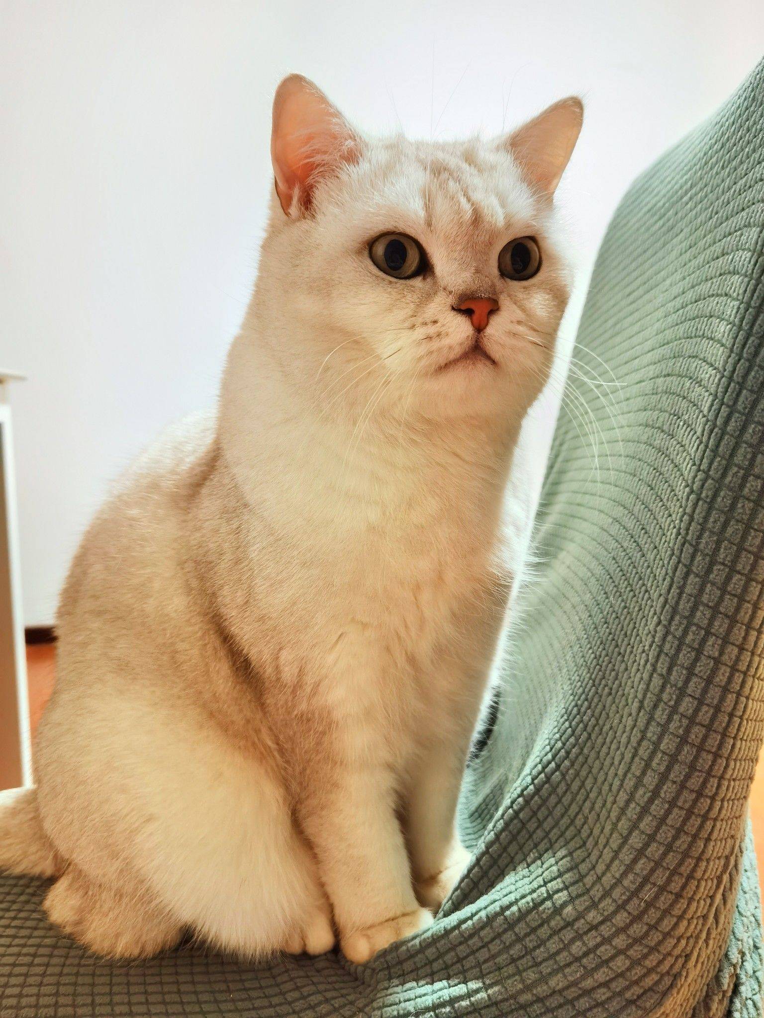 北京国展地铁附近，蹲个女室友