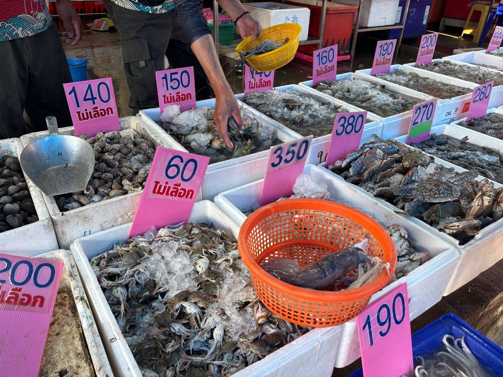 在泰国的23天里～_4