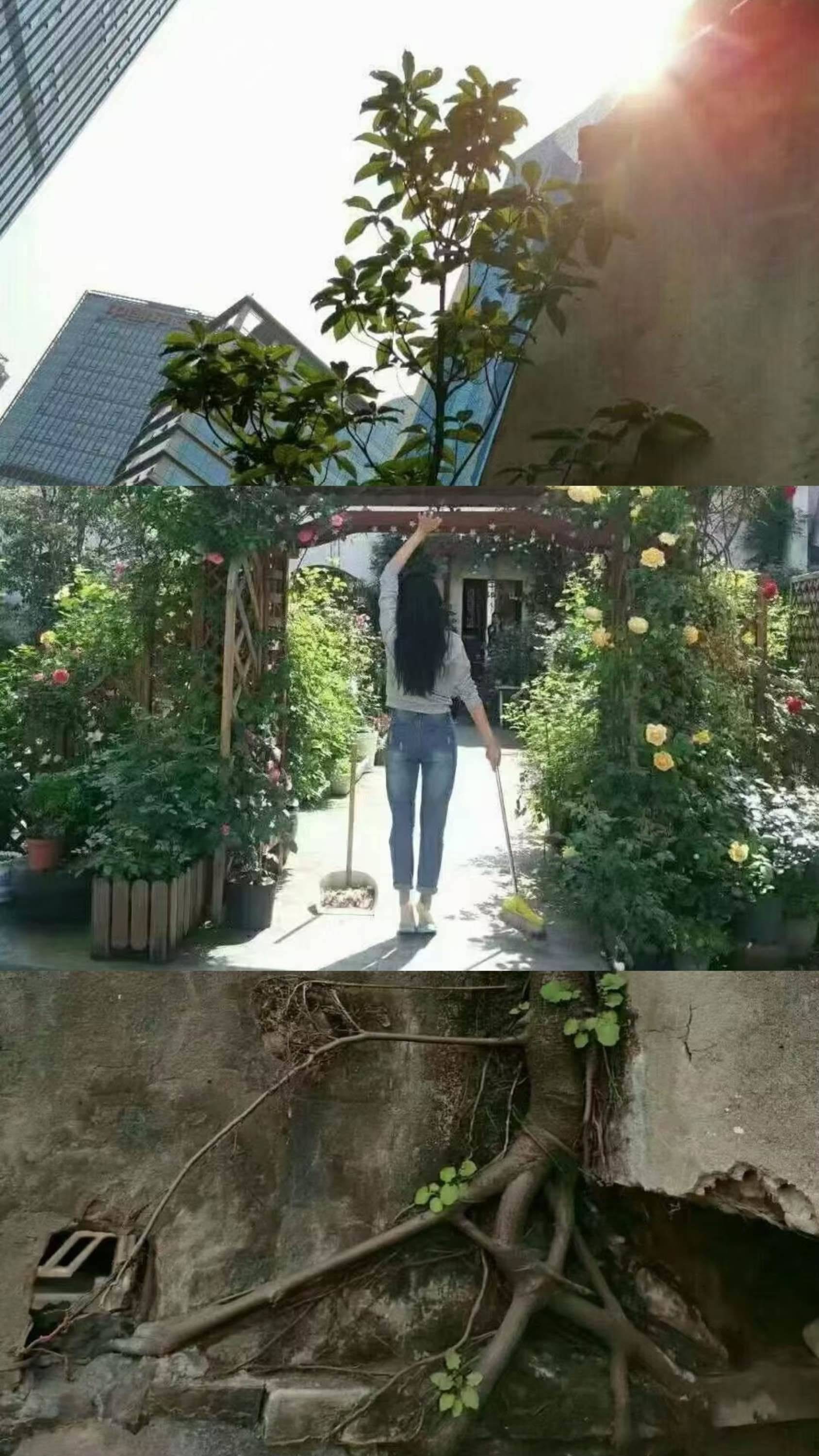 勇敢面对阳光🎨阴影自然都在身后🌈