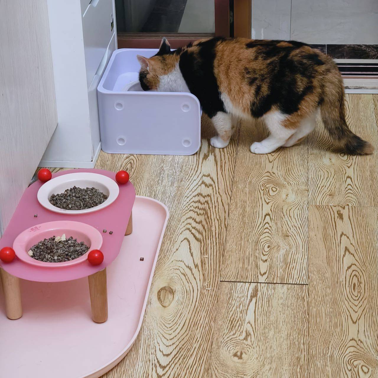 网红大开门 长毛版_2