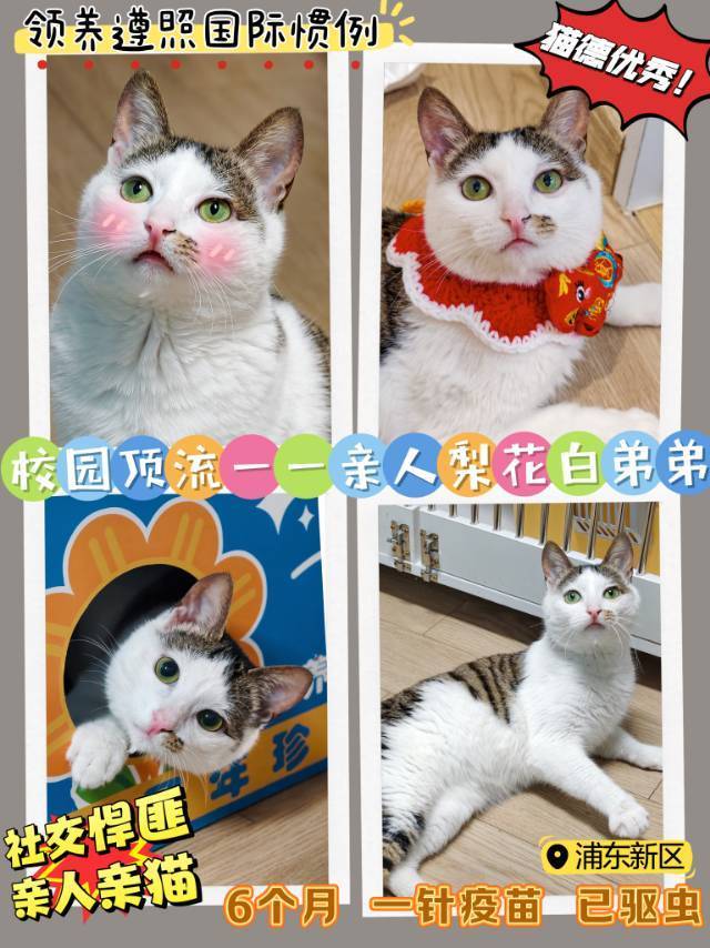 大学的学习搭子们即将被驱离，紧急求领养！_0