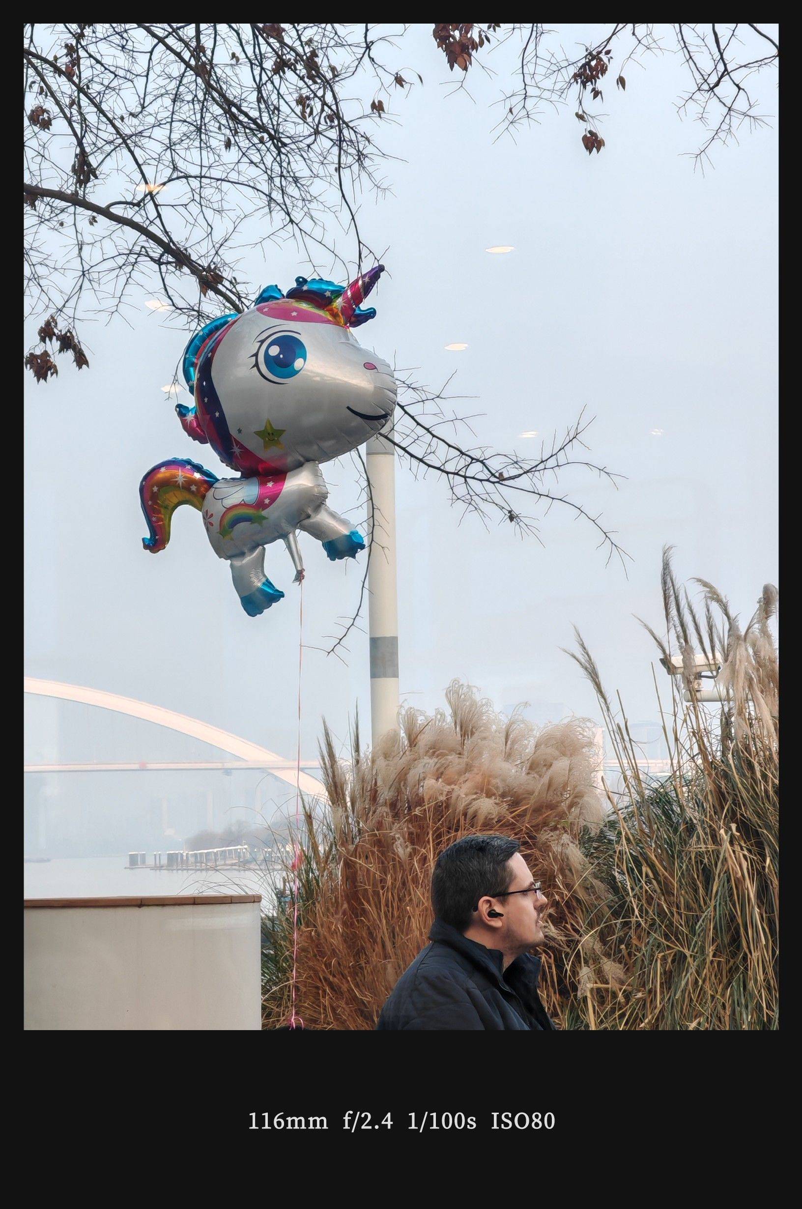  我家萌宠最可爱  边牧  翻墙瞬_4