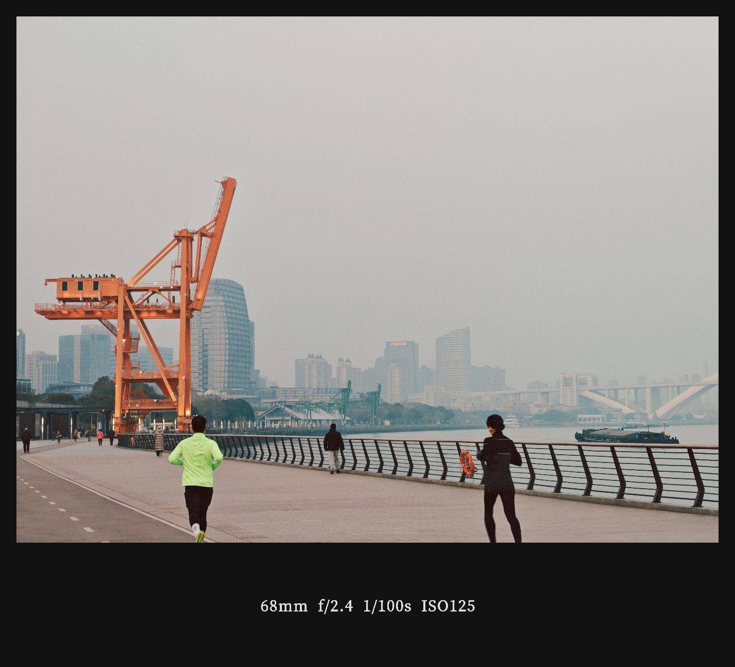  我家萌宠最可爱  边牧  翻墙瞬_2