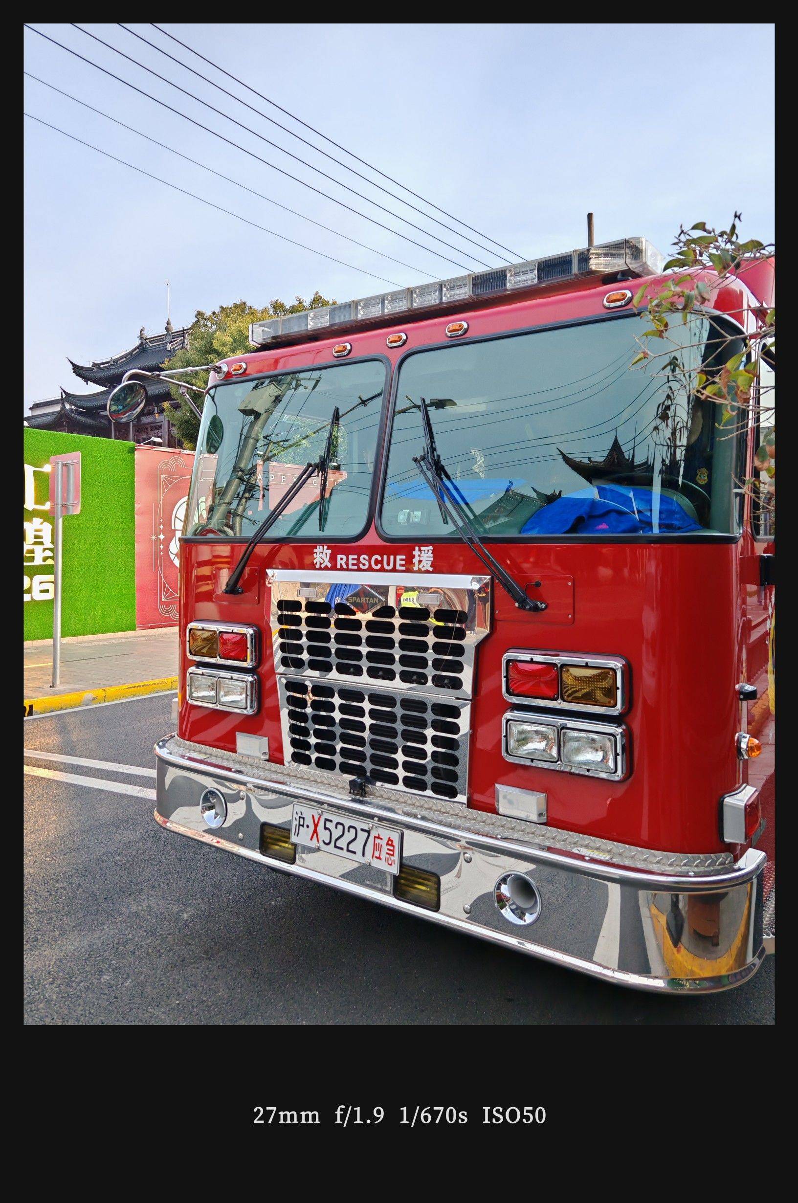  小狗  毛茸茸 _3