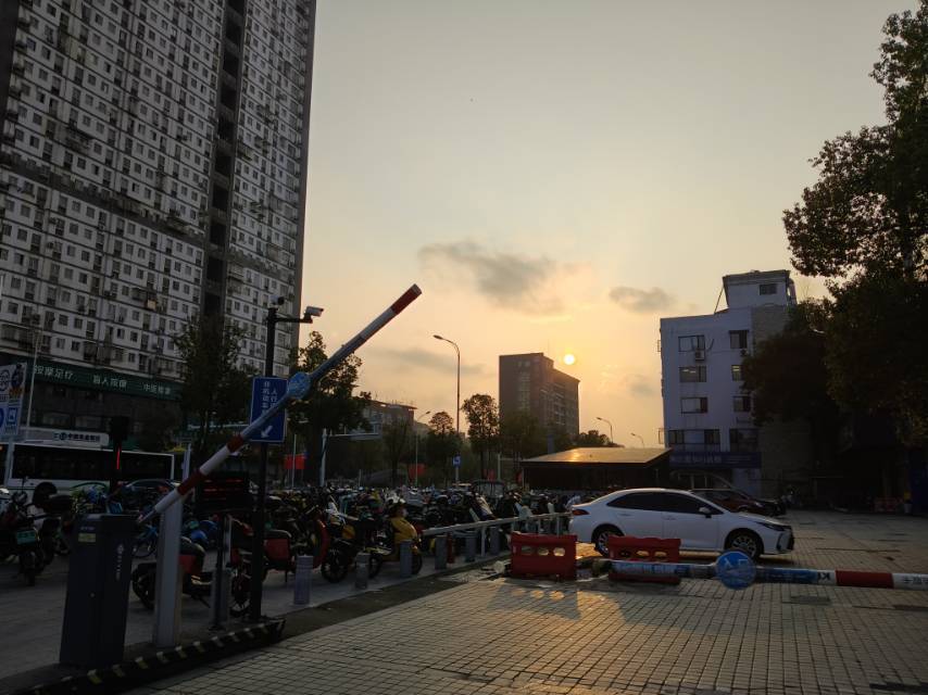 中科路/学林路找房