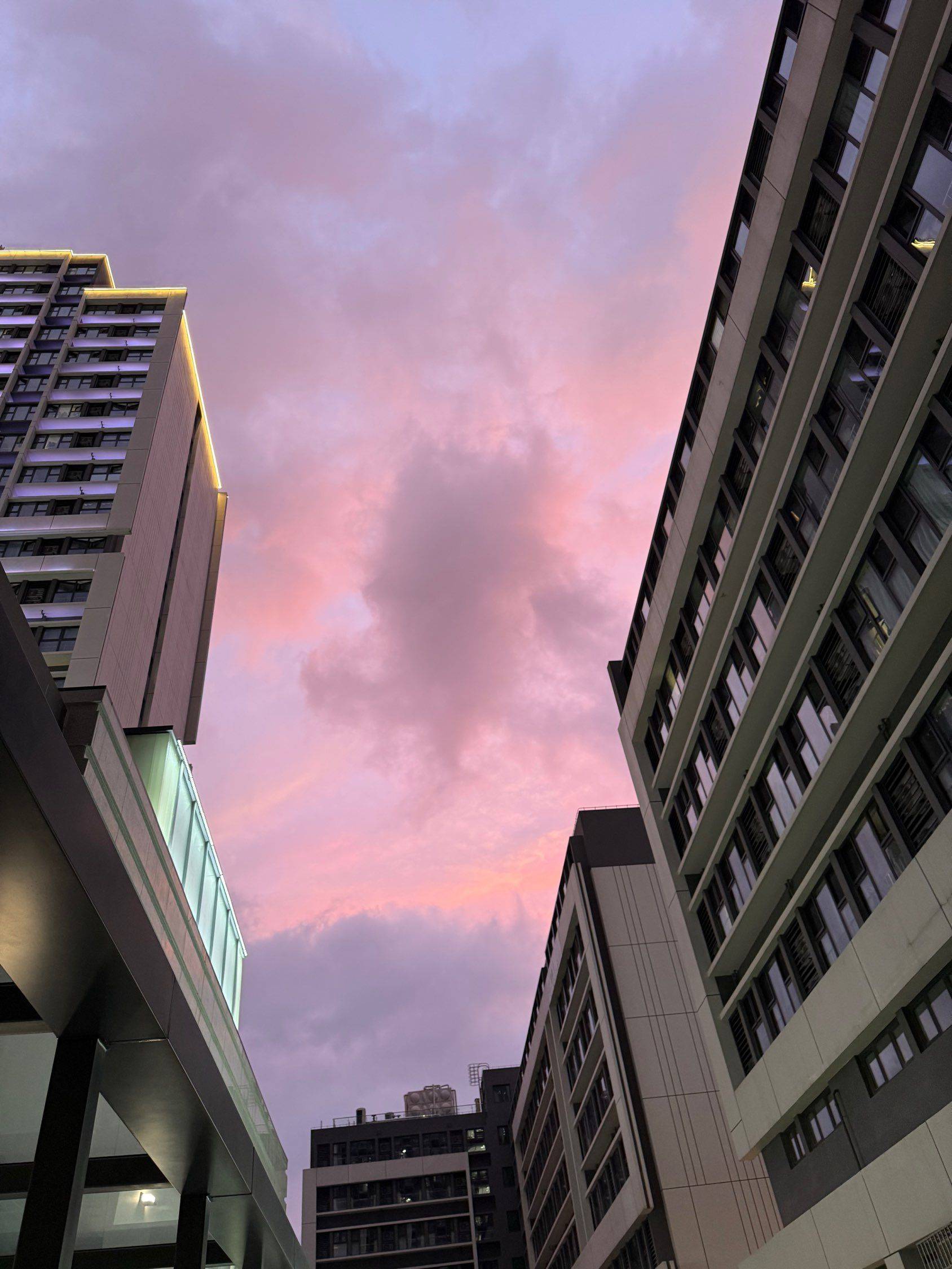 这个时候你还在