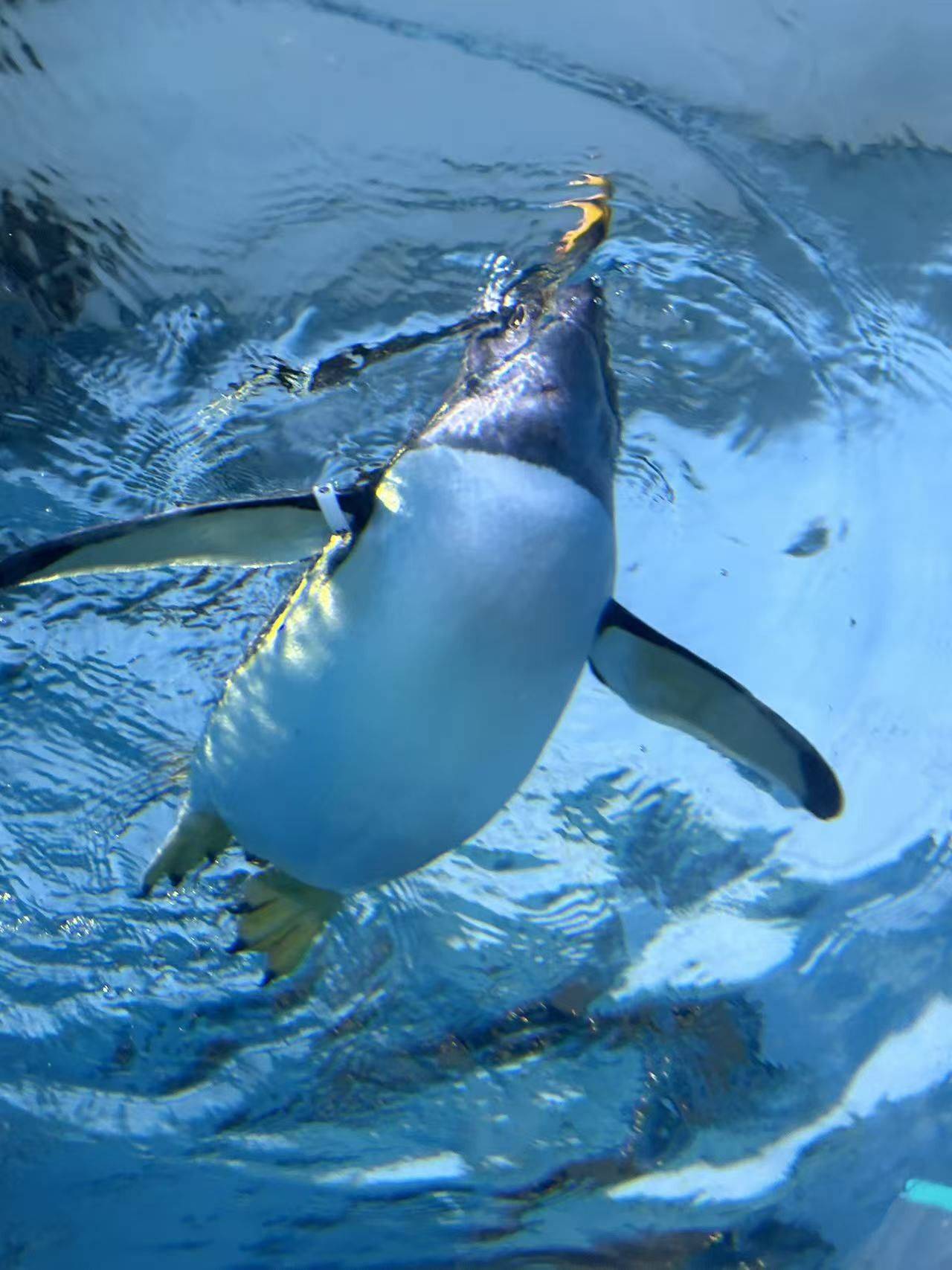 冰城 教堂穹顶 _4