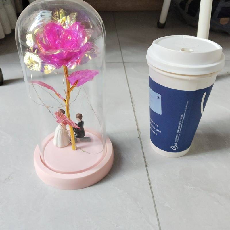长生花礼物