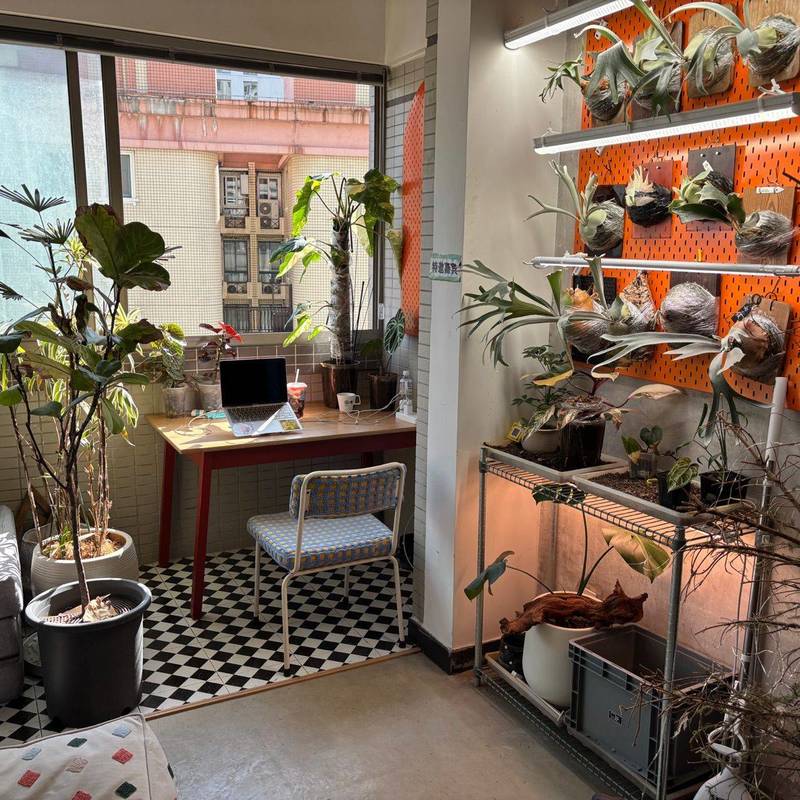 招募·一个年轻人的共居社区