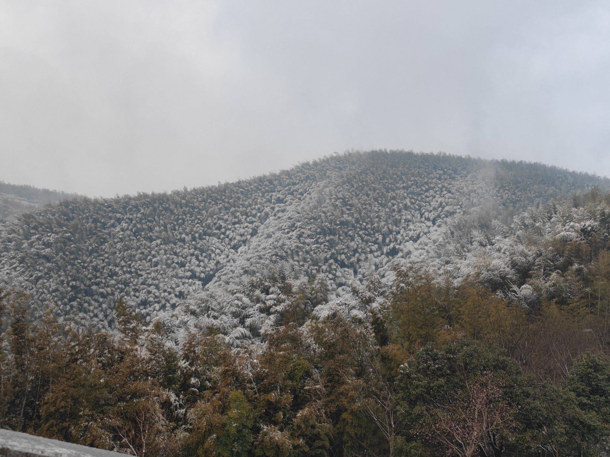 来杭州旅居，要短租的可以找我