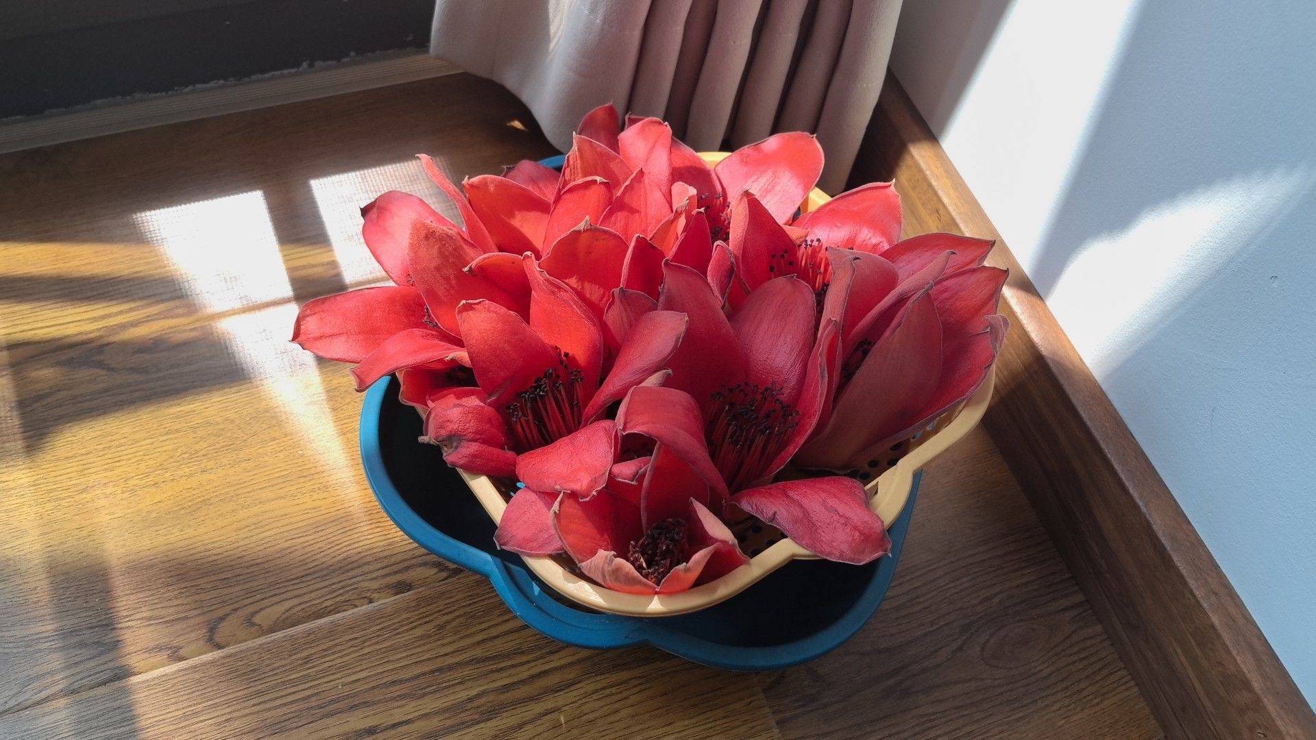 在冬与春之间游荡