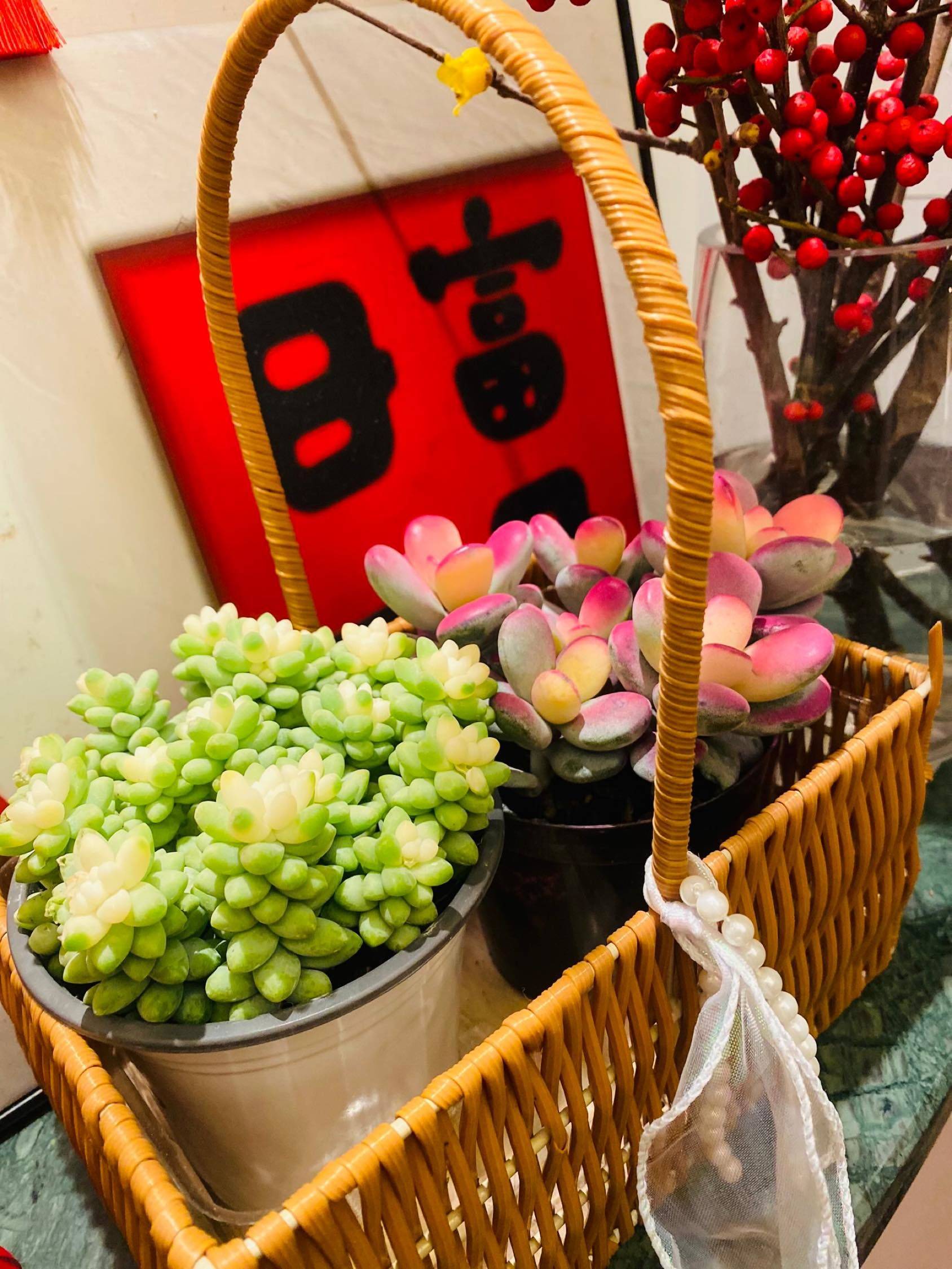 是谁在找长宁区2号线附近的房子？