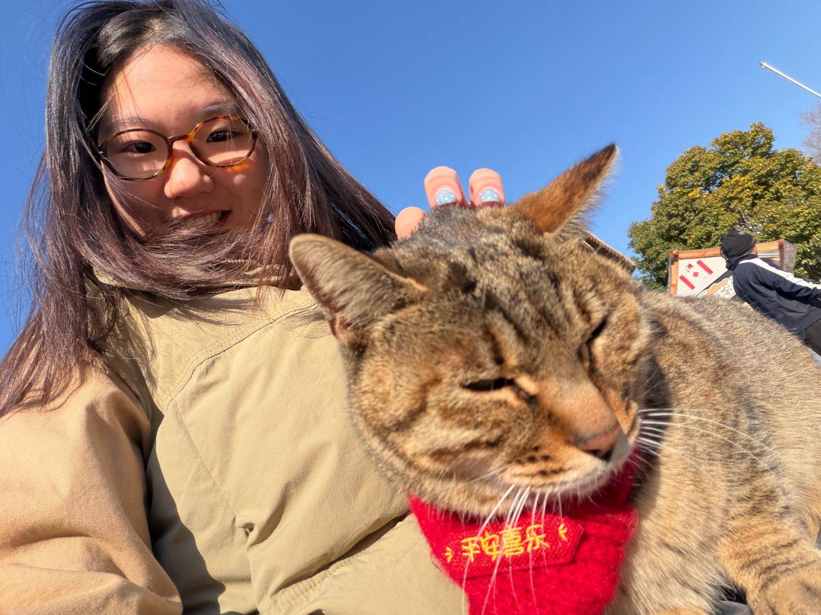 左手一只猫右手一只猫！_2