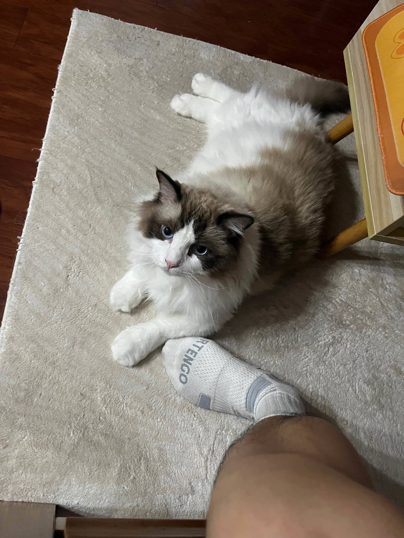 漕河泾租房求建议_1