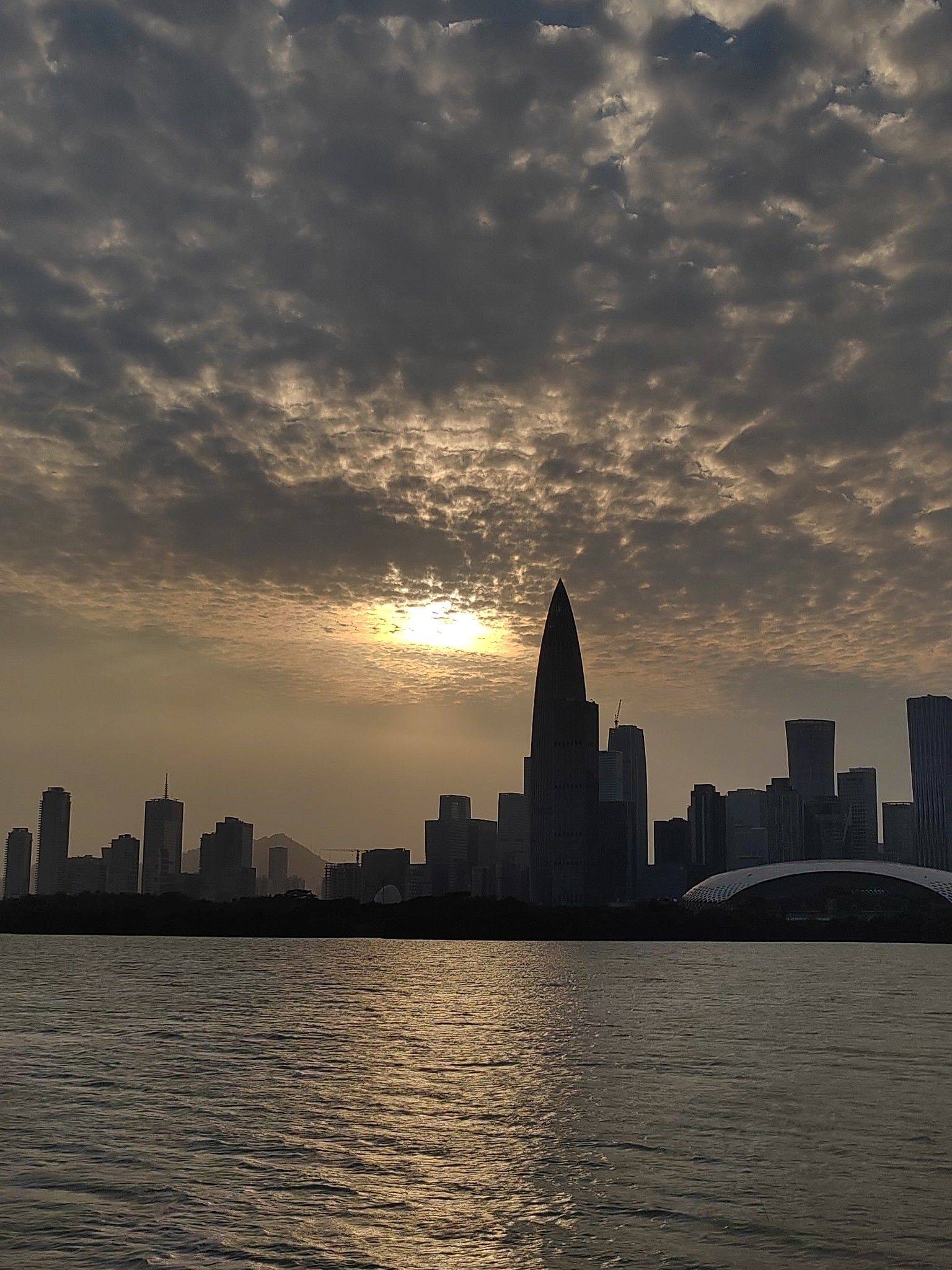 日落收藏家🌅_0