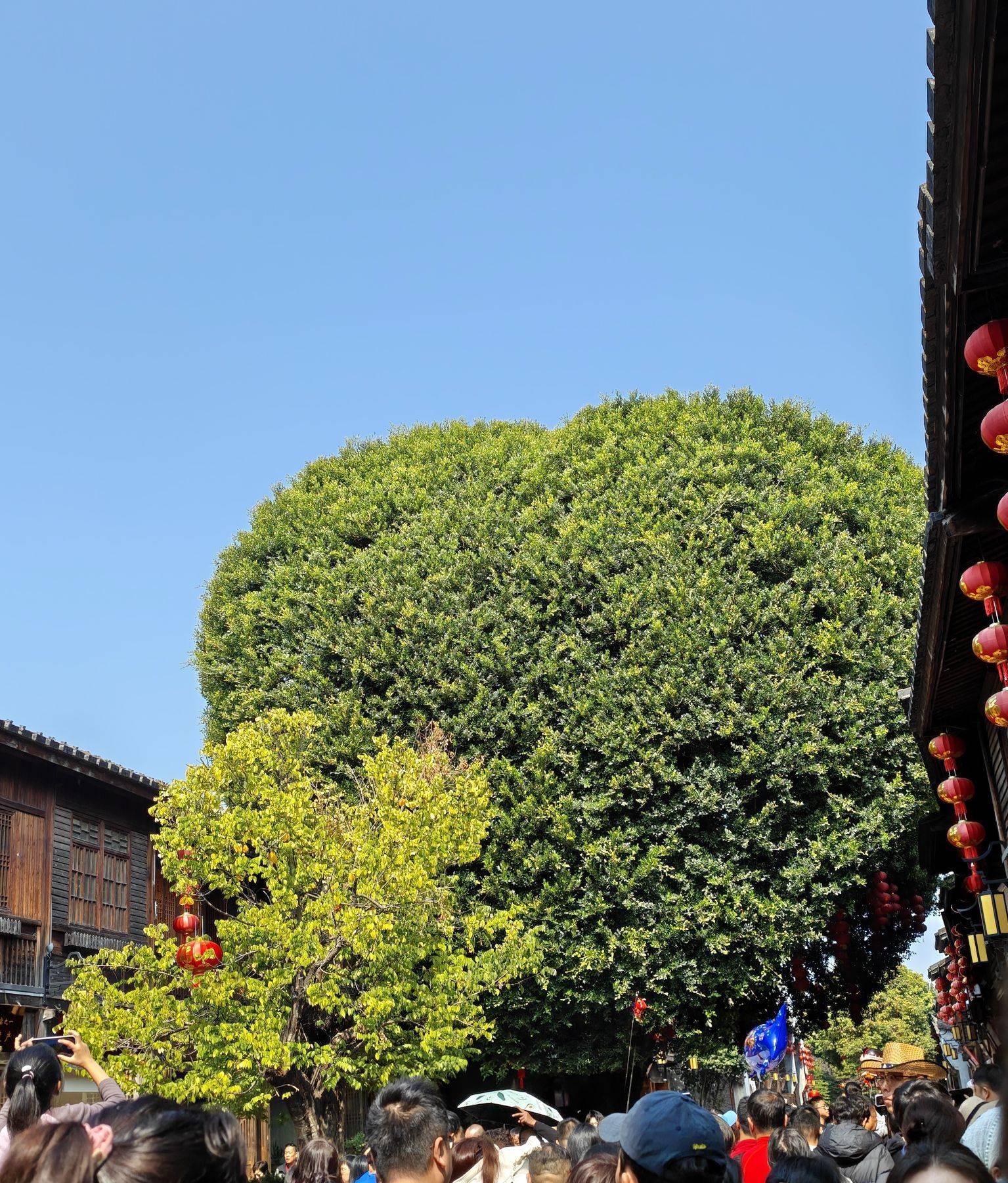 过年期间三坊七巷感觉真的有一万人，终于挤