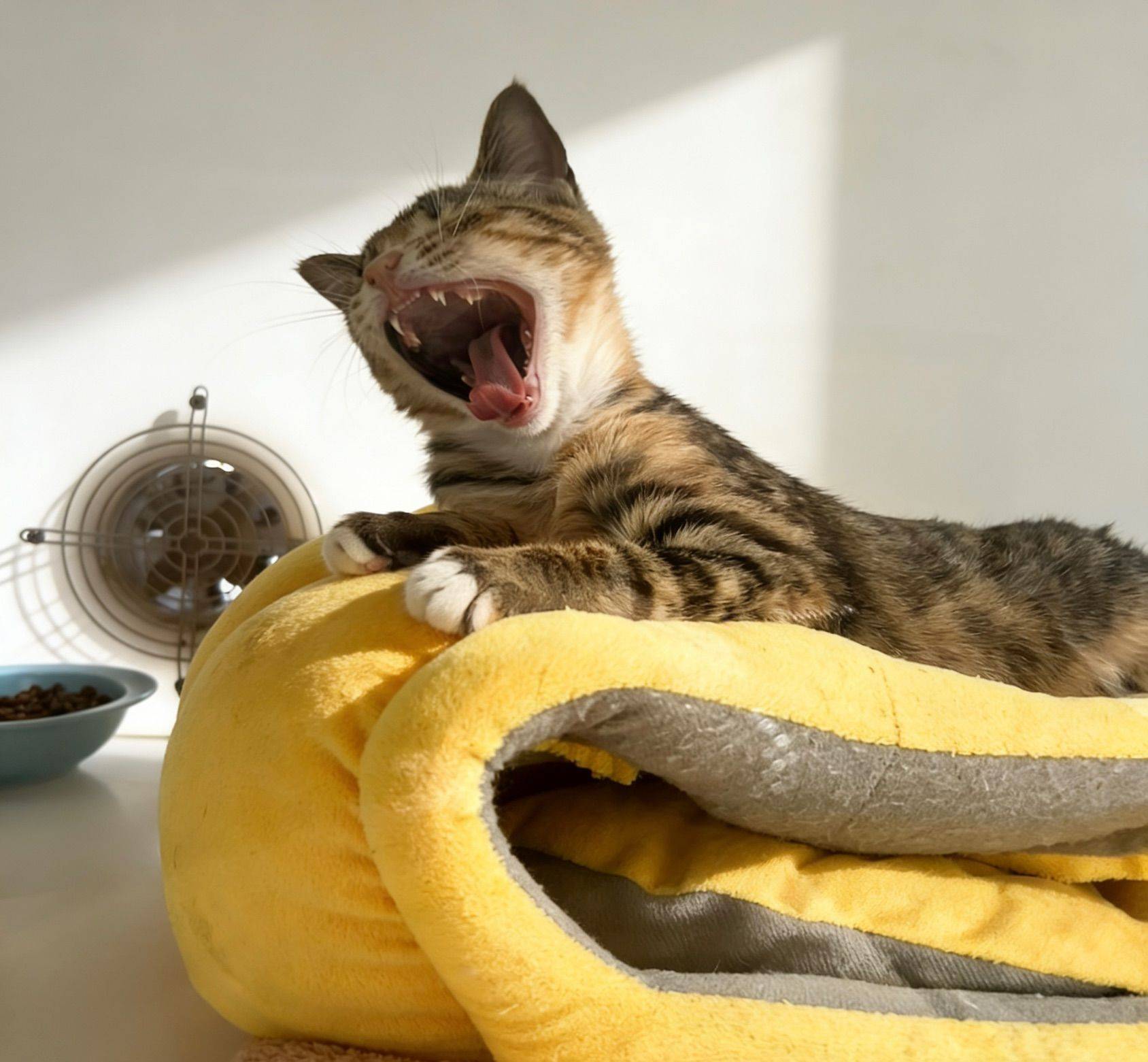 饱饱你是个赖皮蛇_1