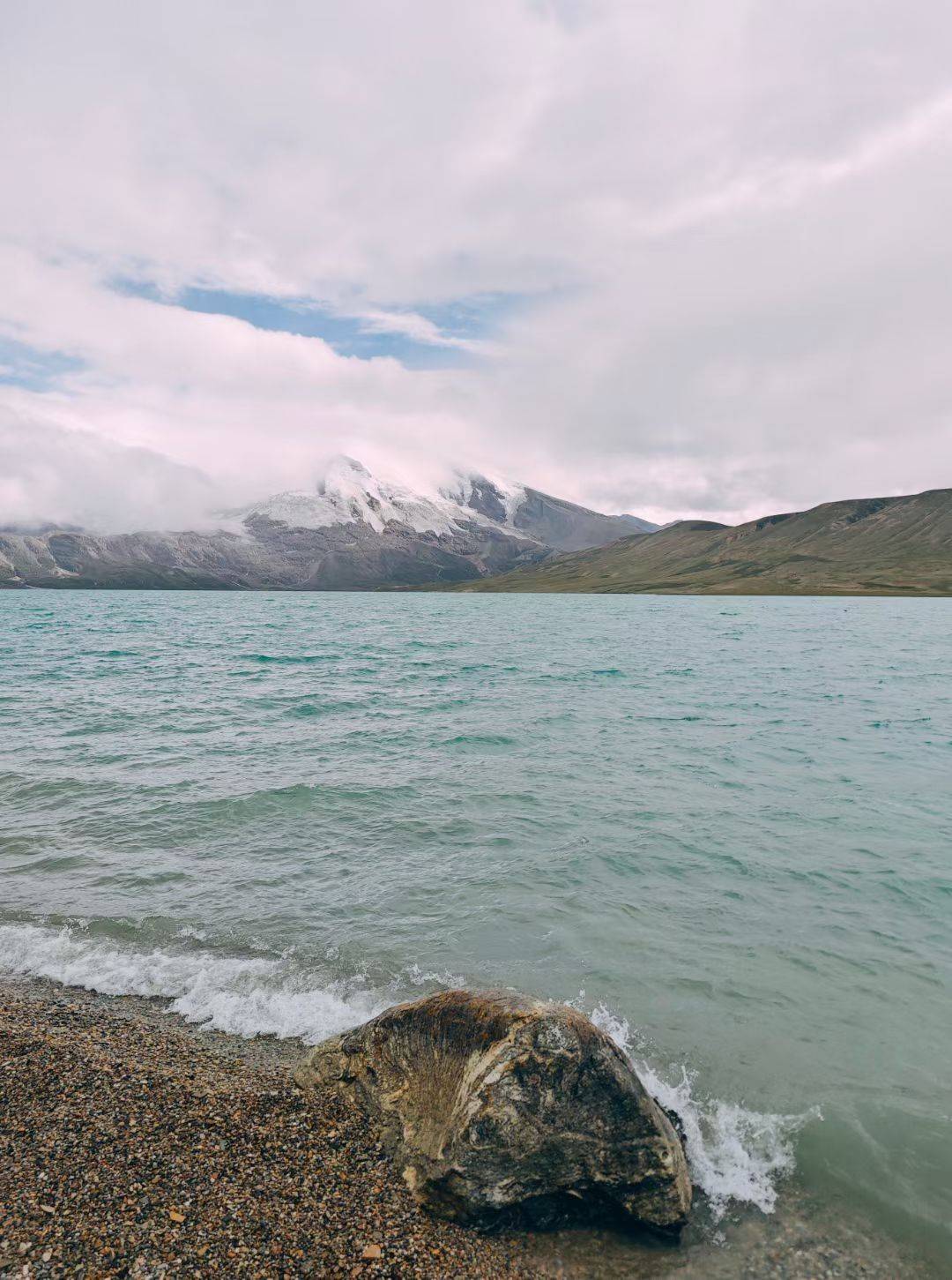 世间的事旧的不能再旧，我依旧落花流水地看