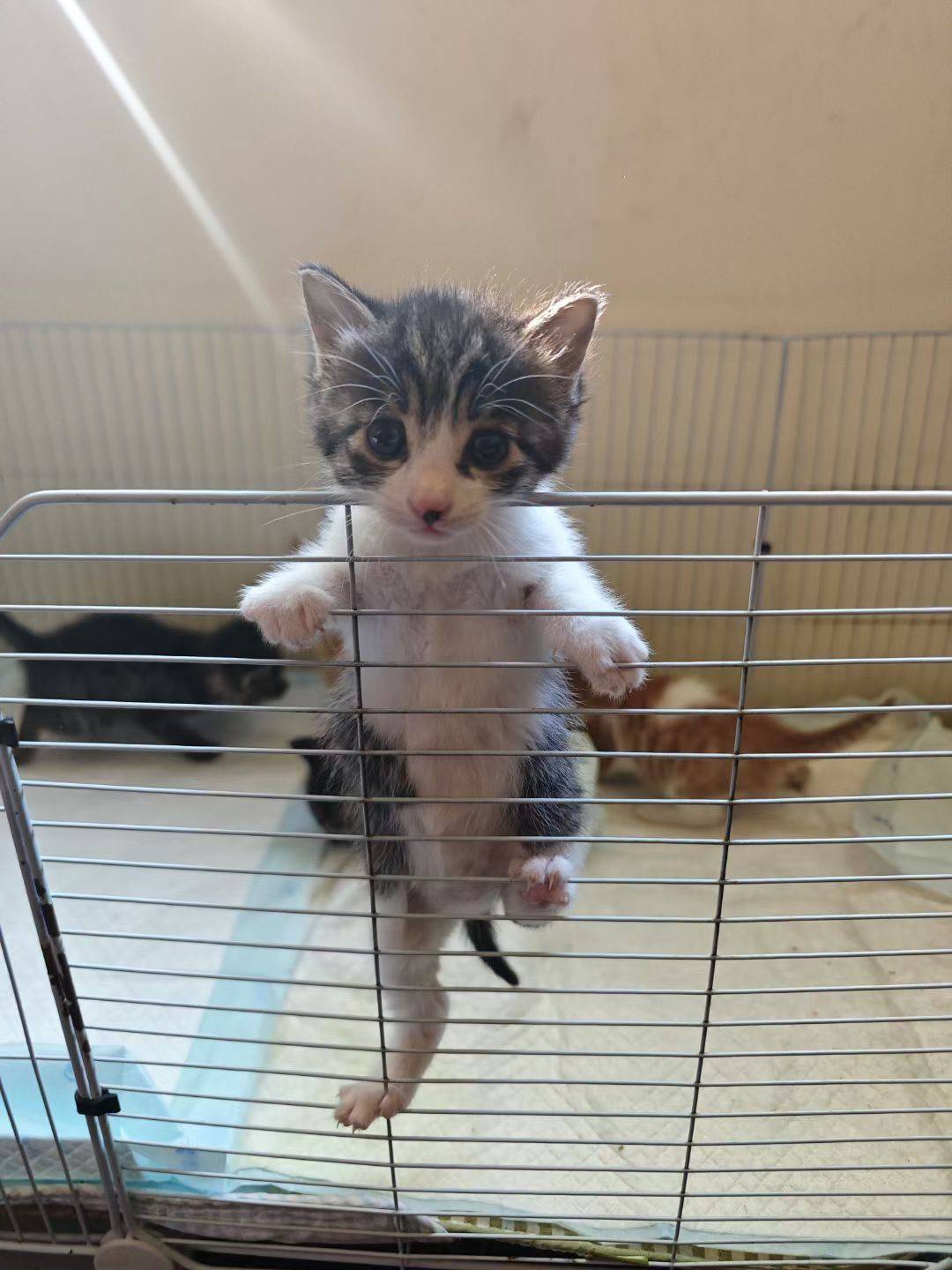 马喽 大了，管不住了 碎碎念 