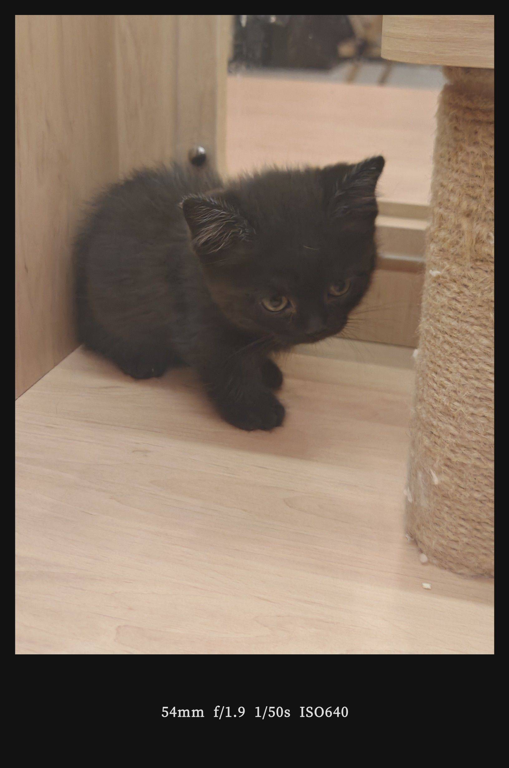  城市风光  大桥飞跨都市通勤  _3