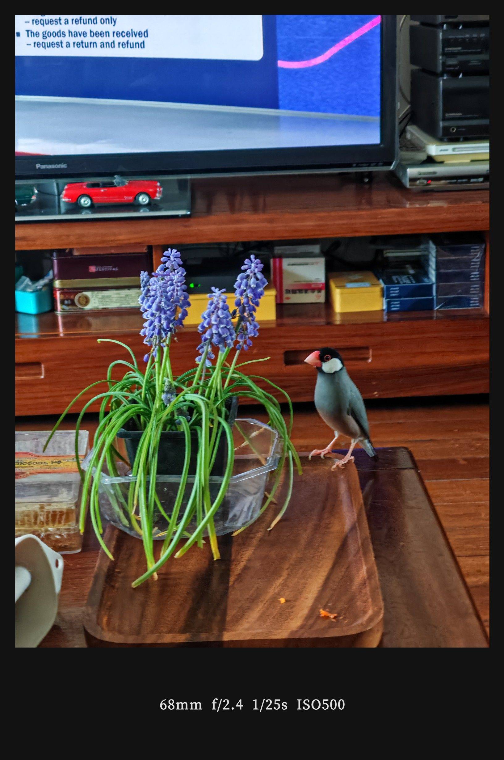  煎蛋  锅中四黄  热油翻炒  _3