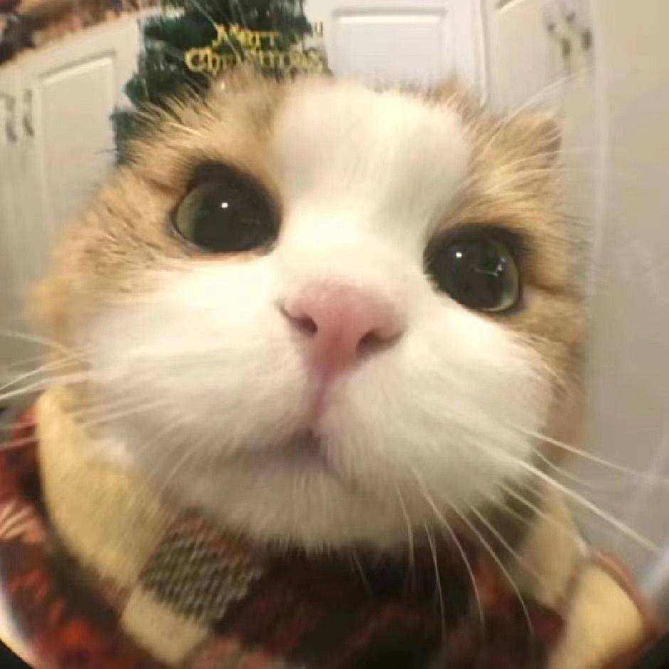 武汉个人房东精装好房直租