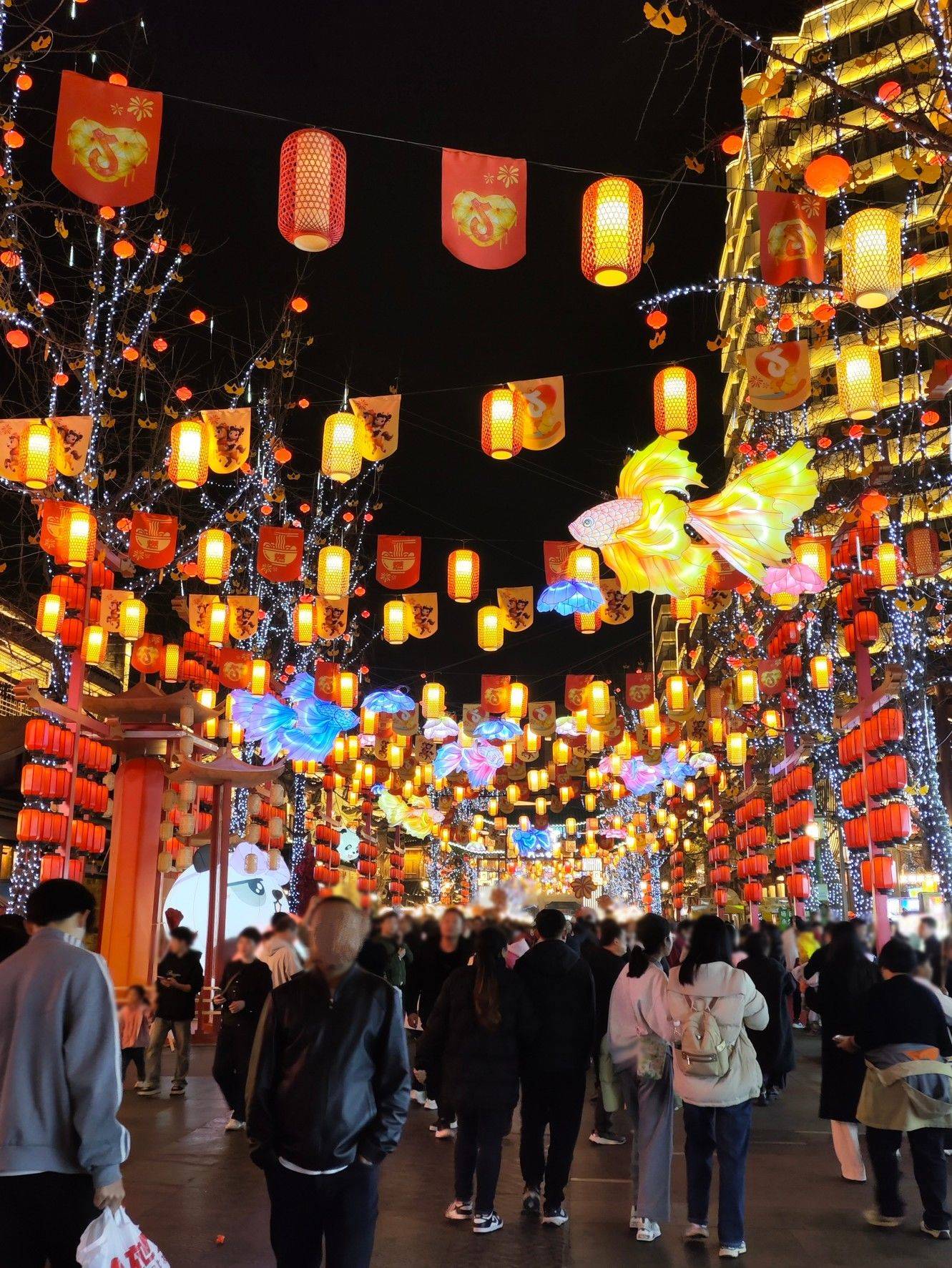 打卡春晚分会场