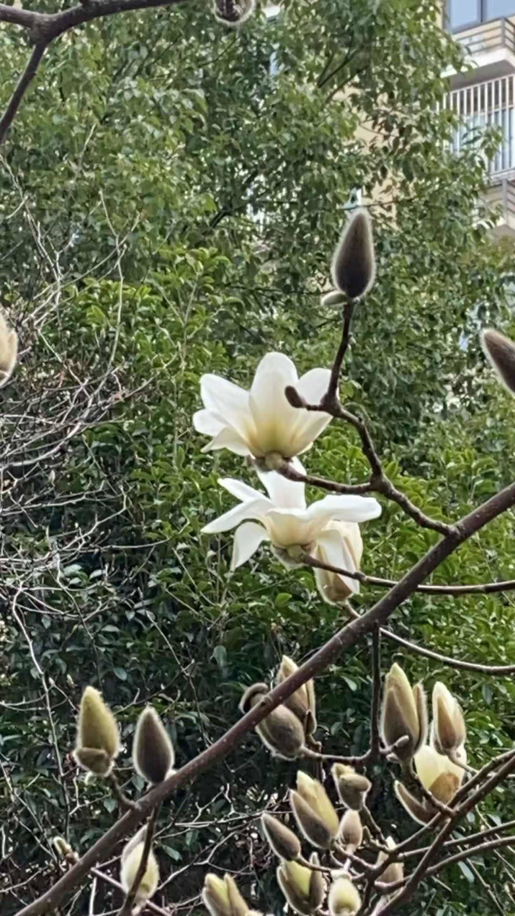 扑捉春天的信号📶