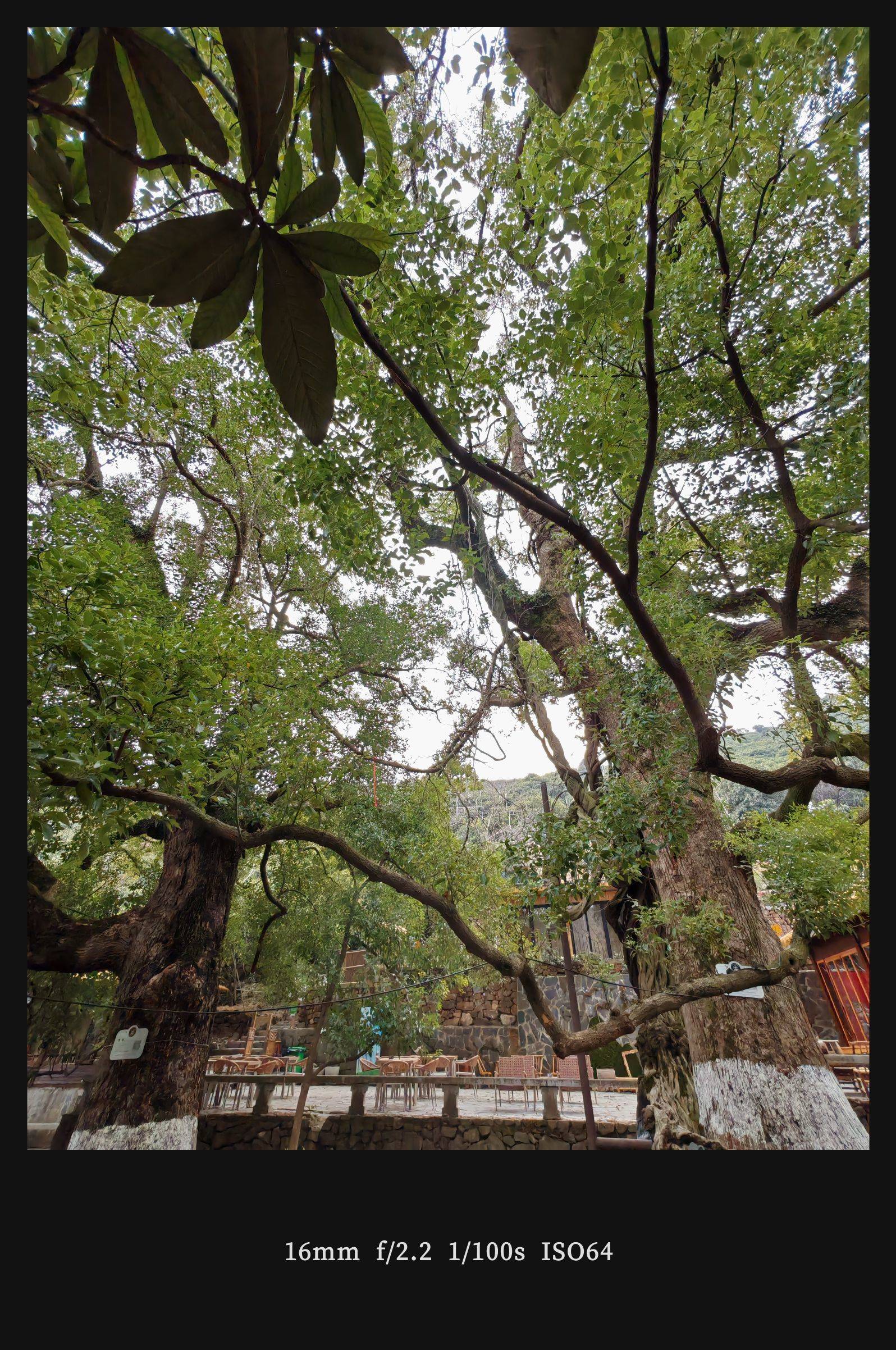 苏州西山徒步 漫步大自然  林间静谧_3