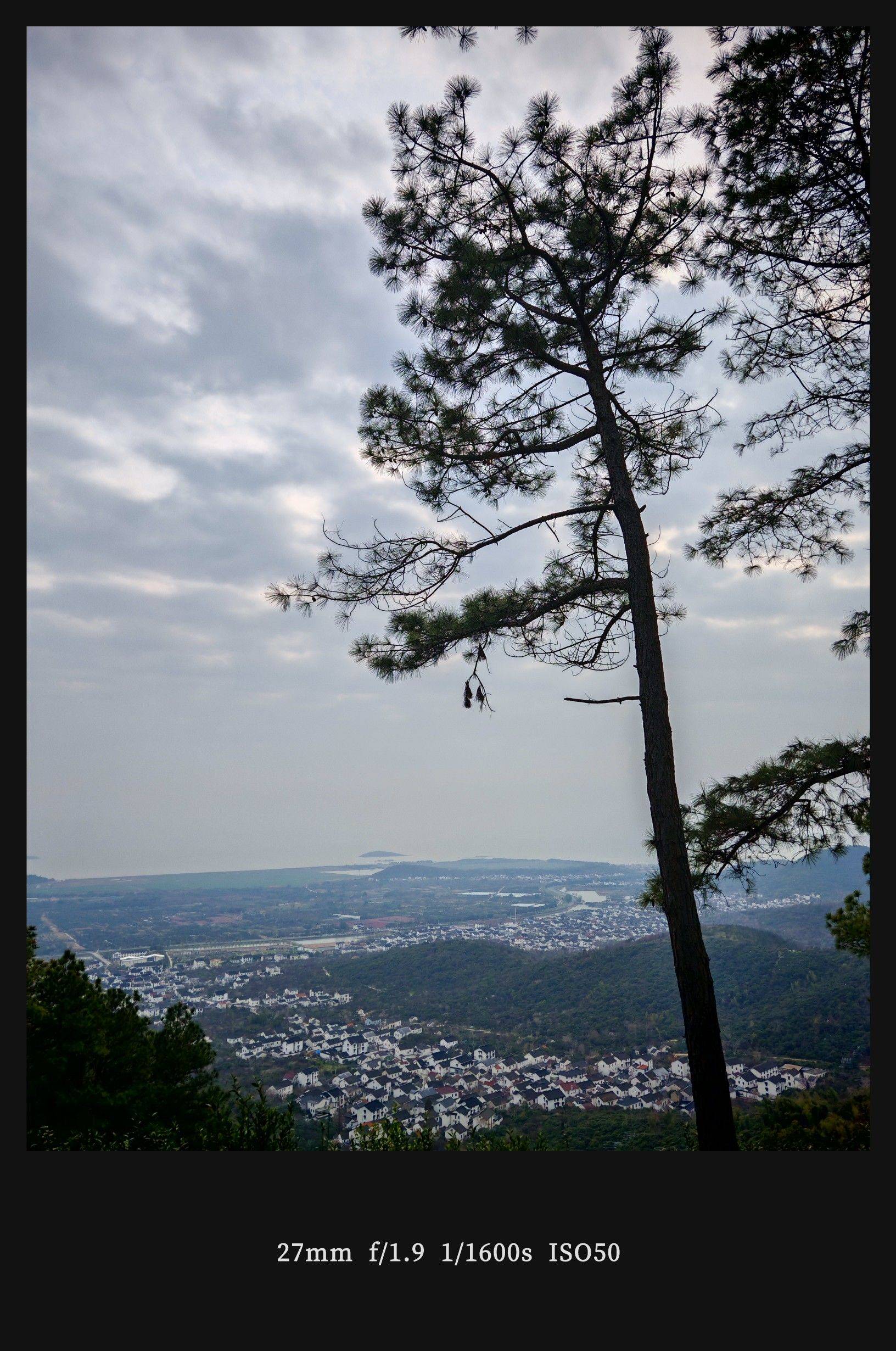 苏州西山徒步 漫步大自然  林间静谧_1