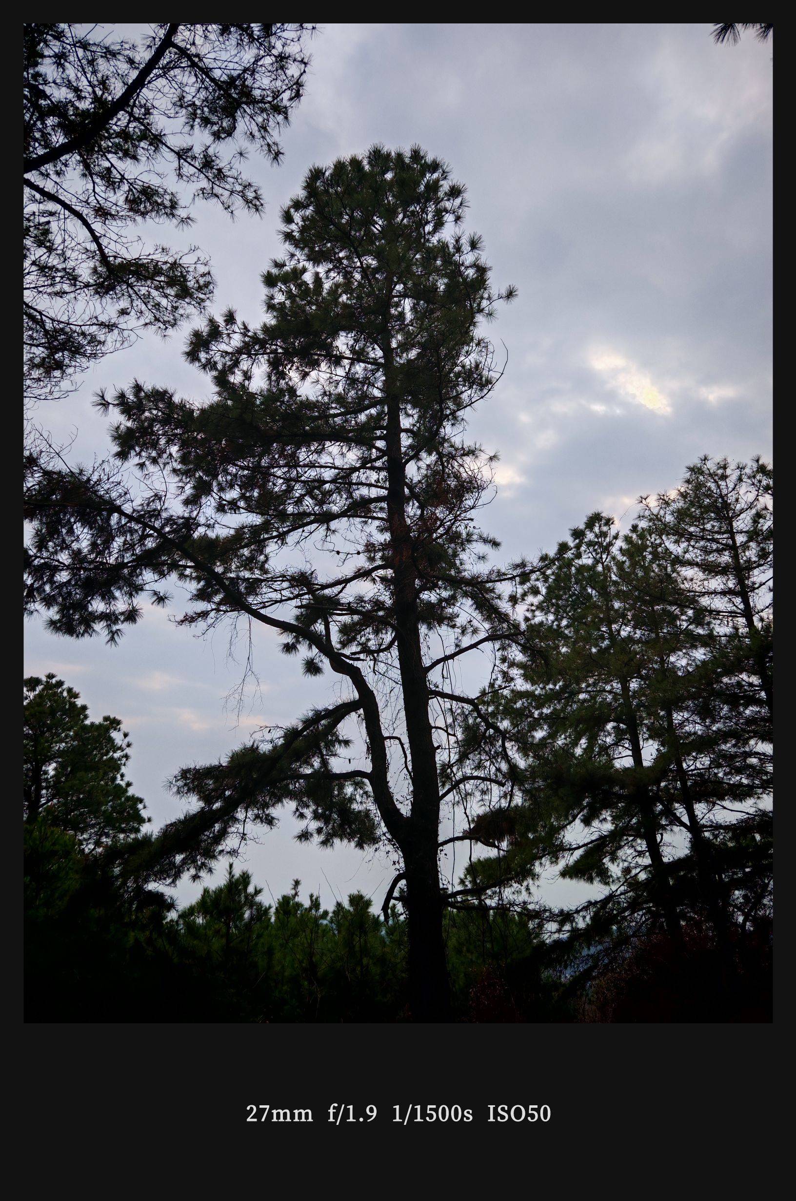 苏州西山徒步 漫步大自然  林间静谧