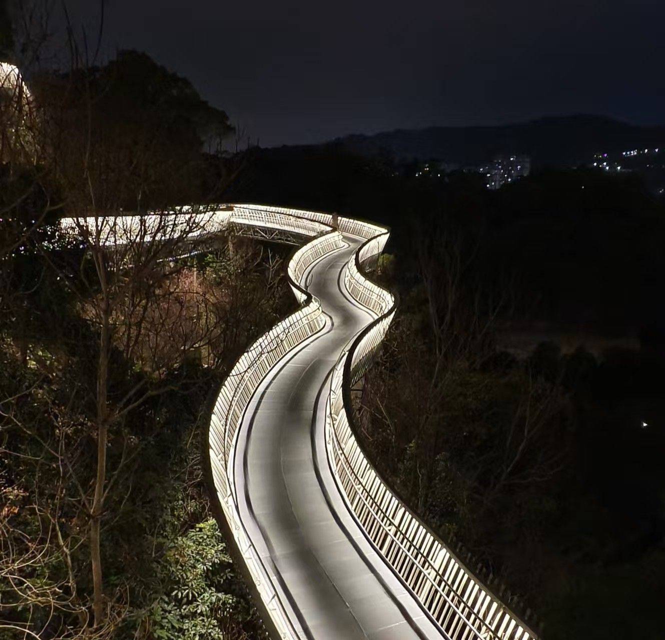 颐景花园附近的福道夜景