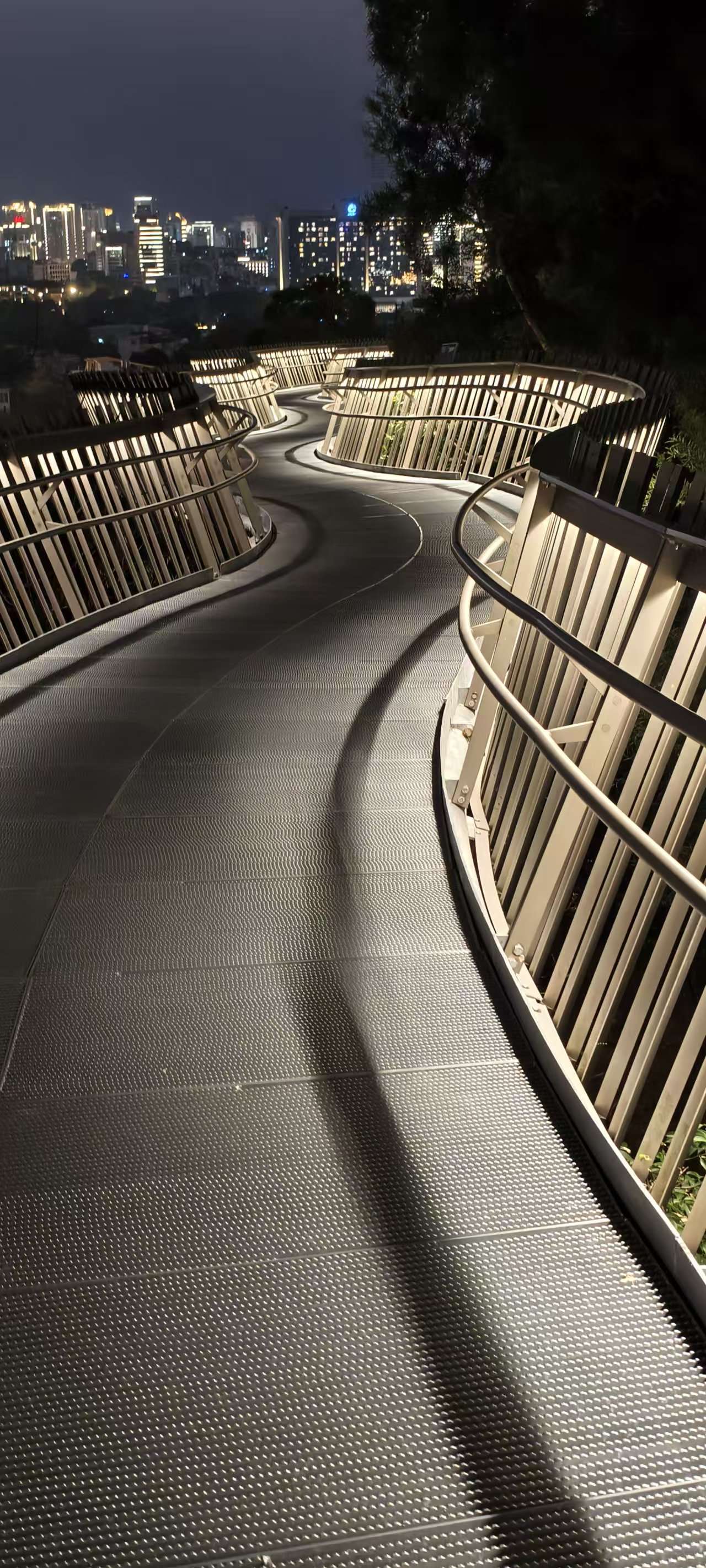 颐景花园附近的福道夜景_3