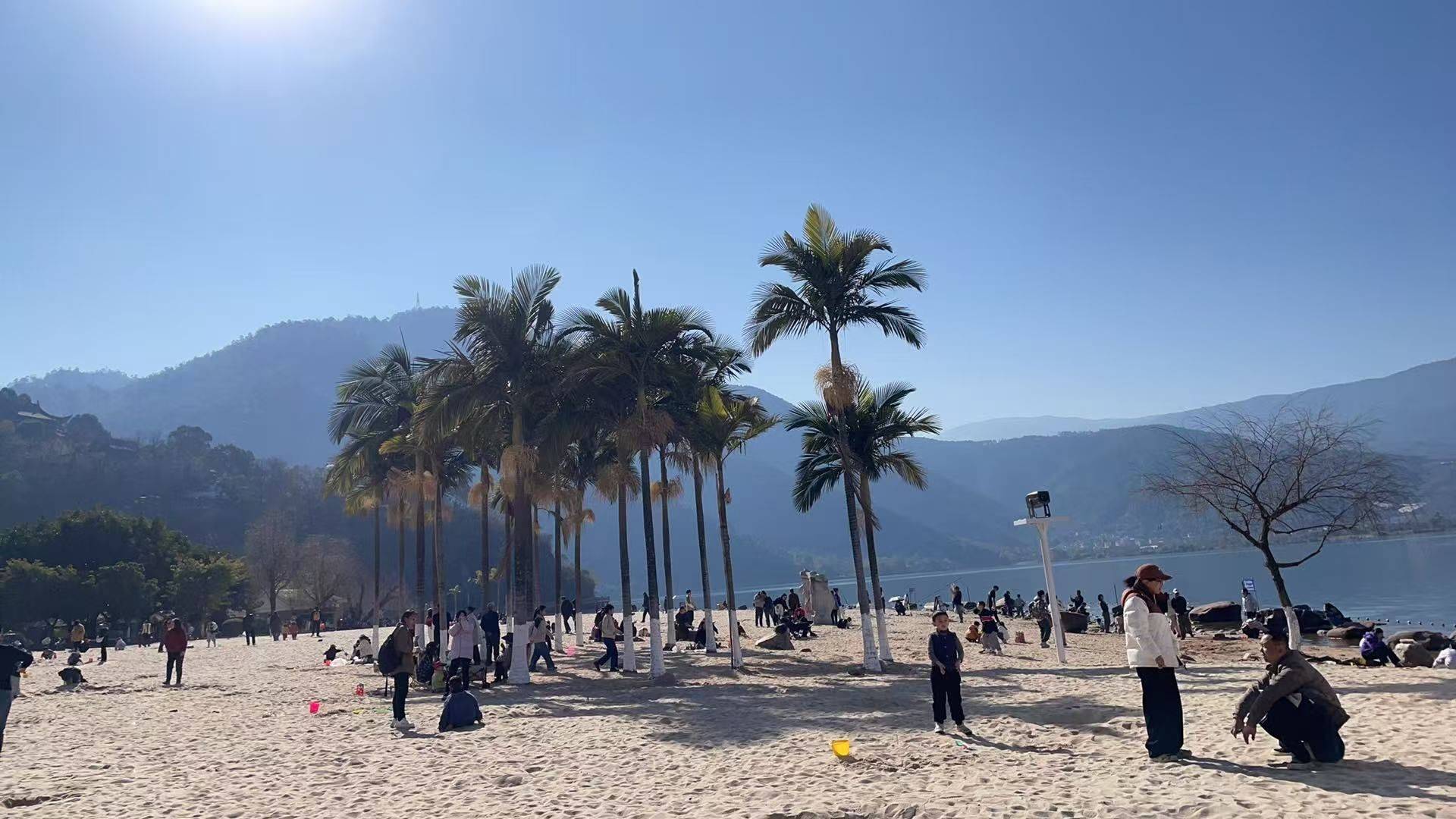 求租锦城广场通勤半小时左右的房子