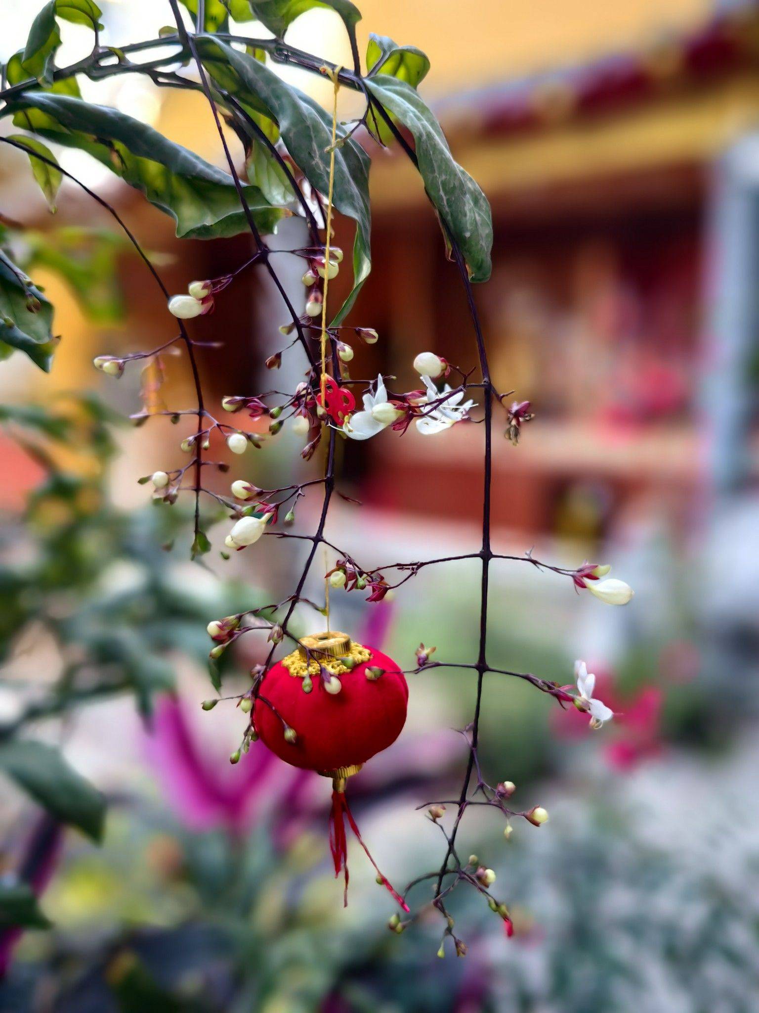 家附近的古寺～福州北禅寺_3