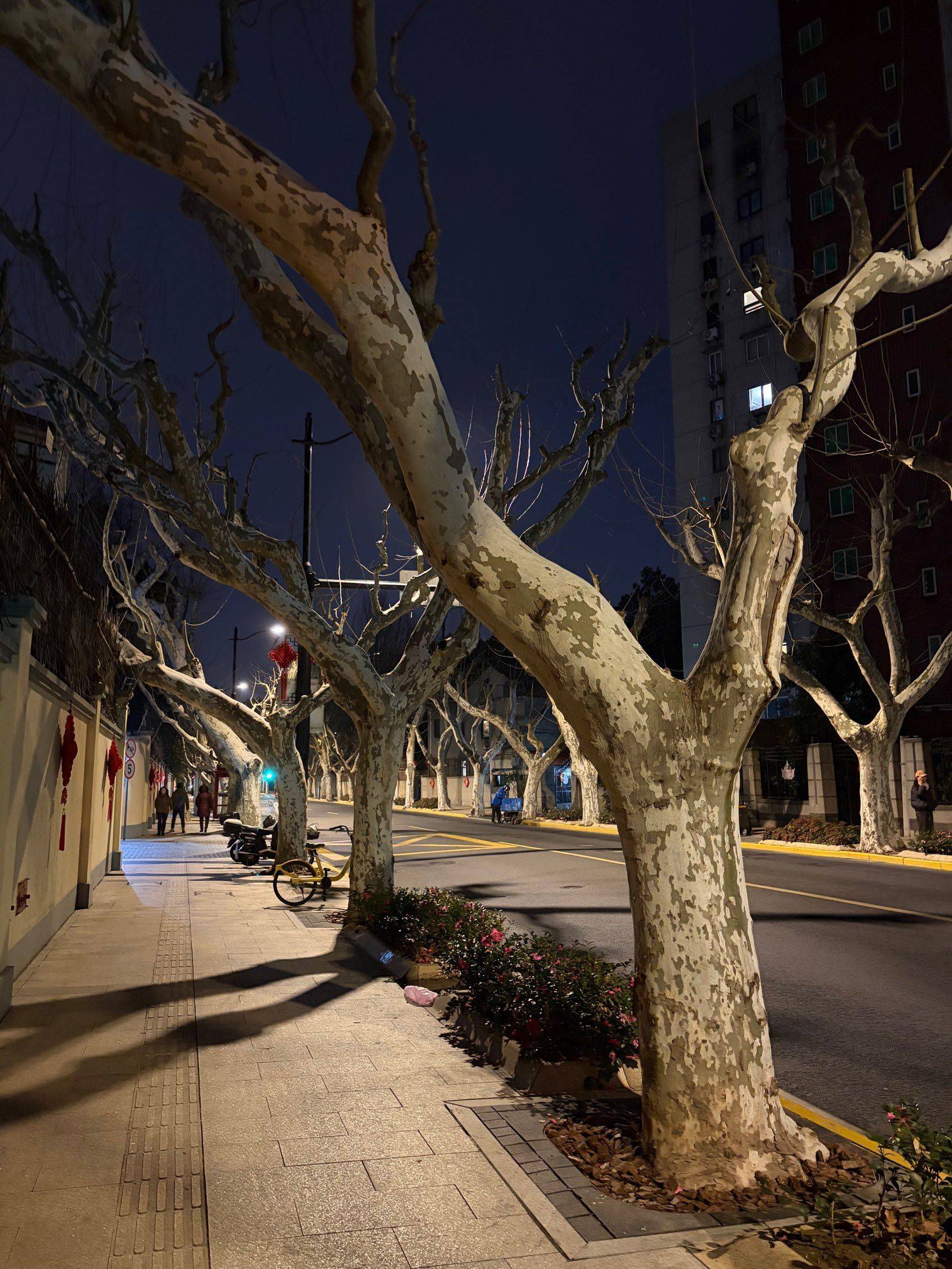 发现一个美丽餐厅～_3