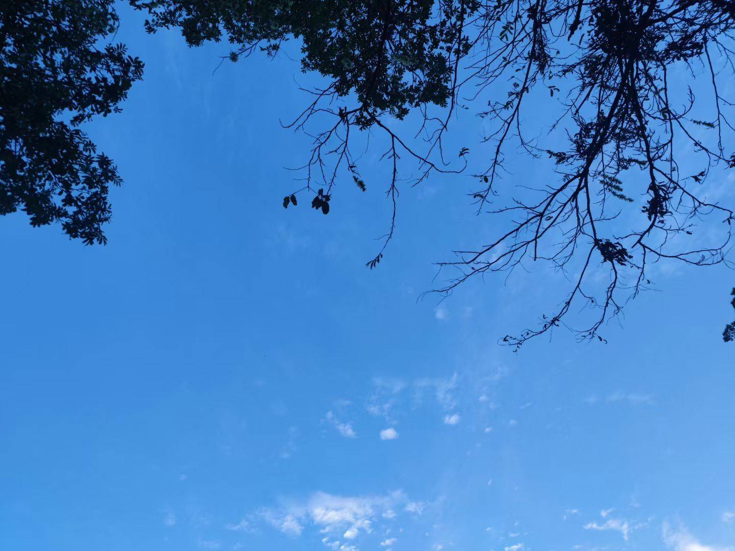 好看，爱看，下次有山还去