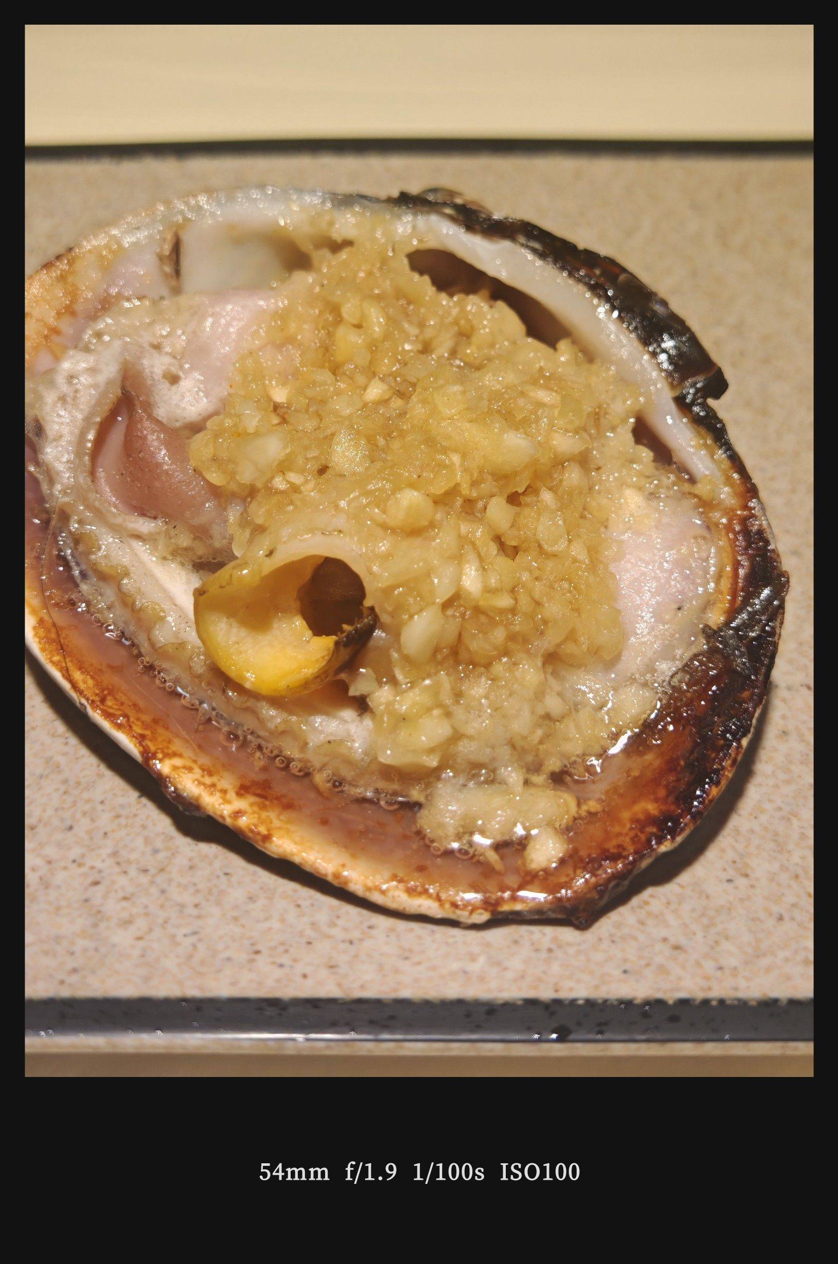  宅家日常  小鸟躲窝  我家萌宠_3