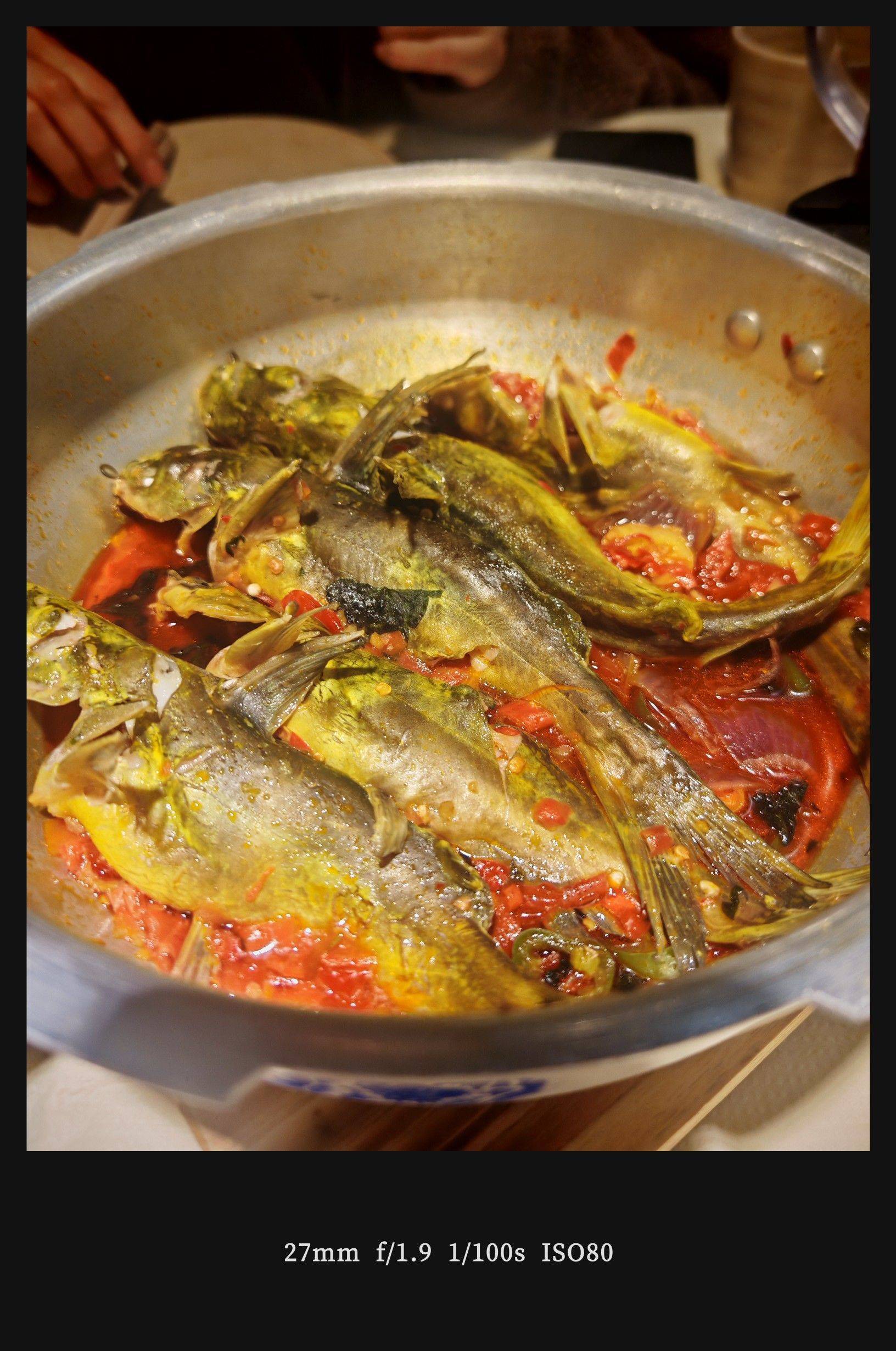  宅家日常  小鸟躲窝  我家萌宠_4