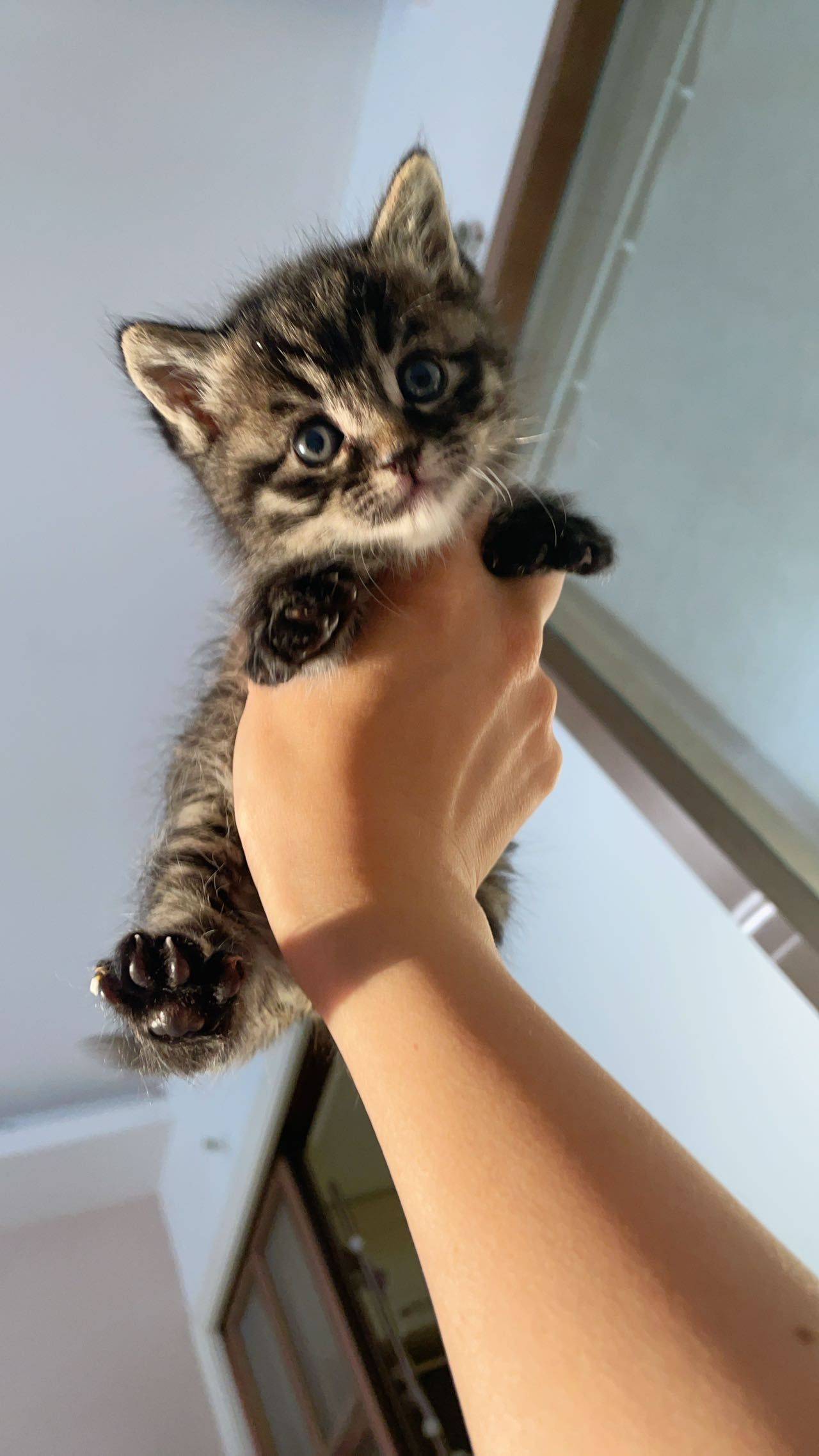 报恩小弟 达达_1