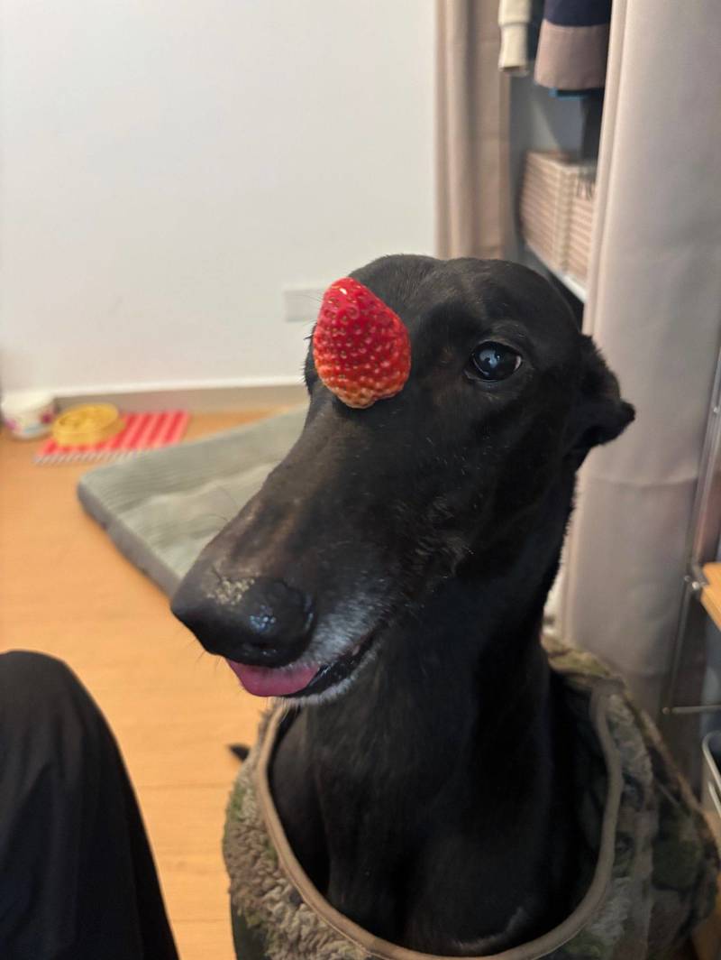 刚来上海很慌?这个社区给你“软着陆”