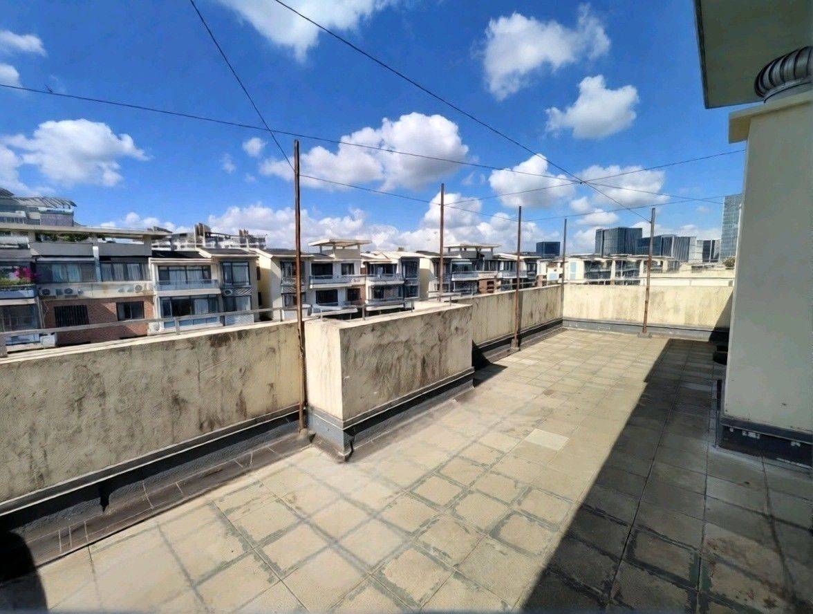 张江6楼复式楼顶花园，有女生搭子吗