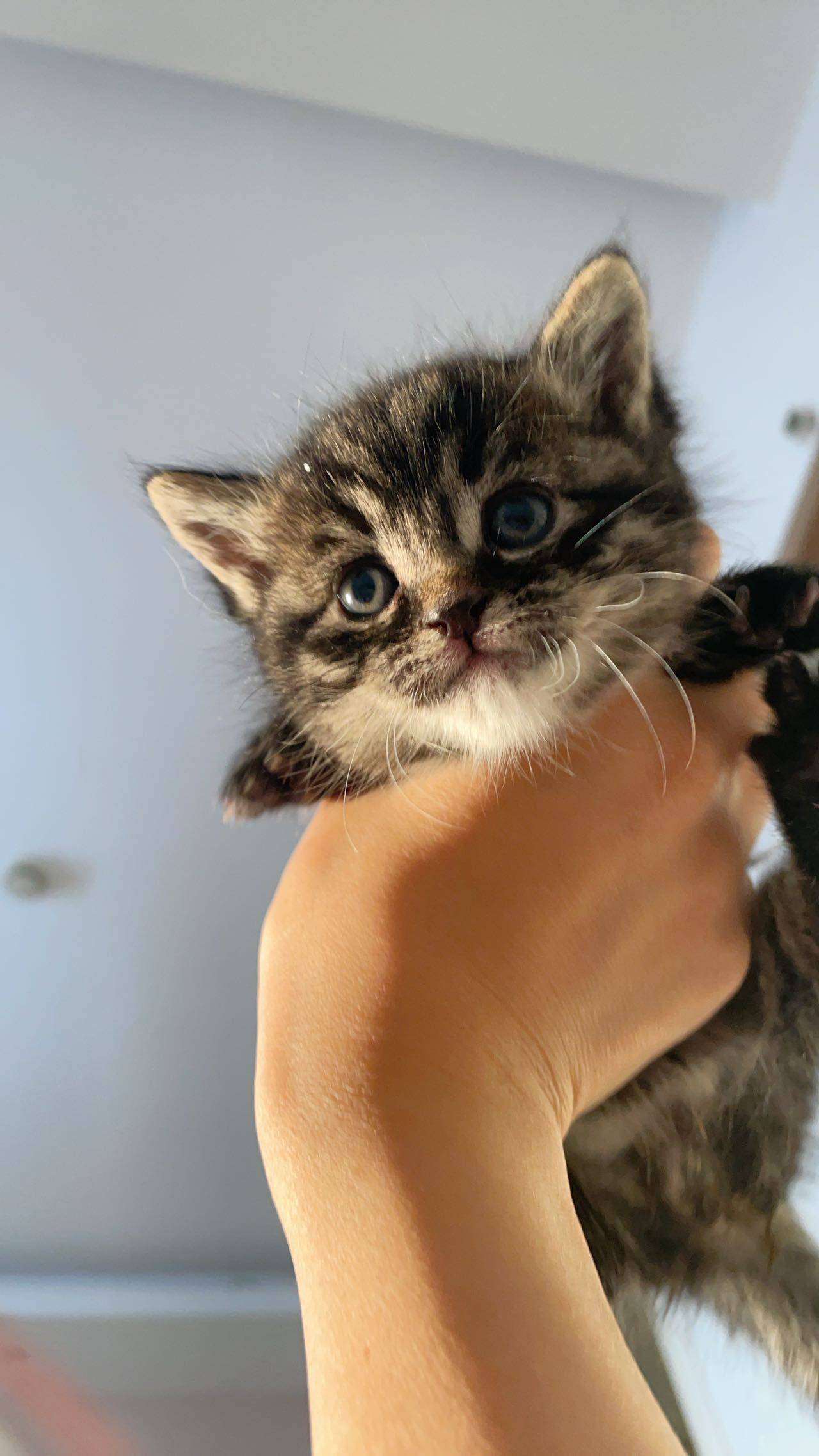 报恩小弟 达达_2