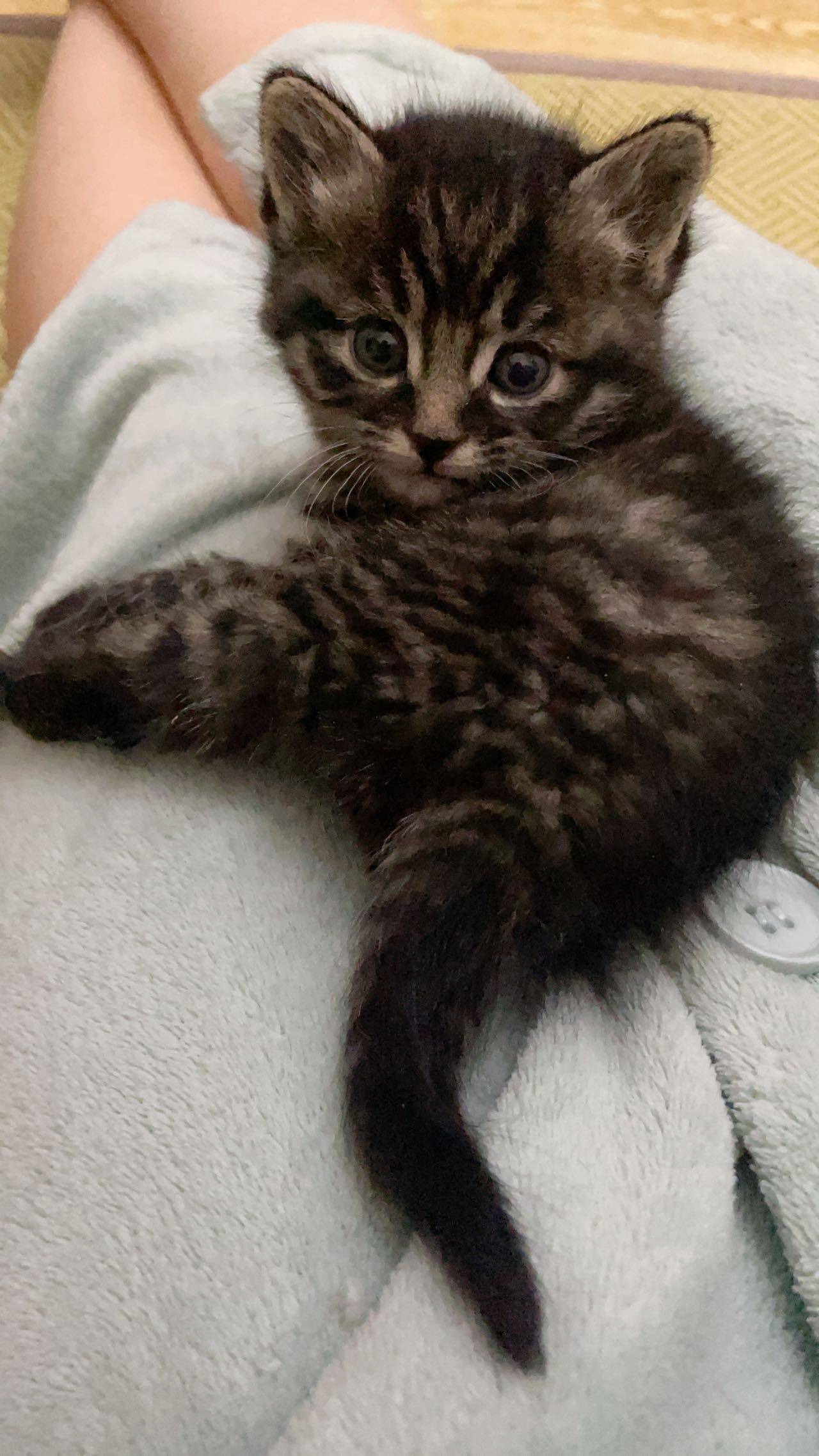 报恩小弟 达达_3