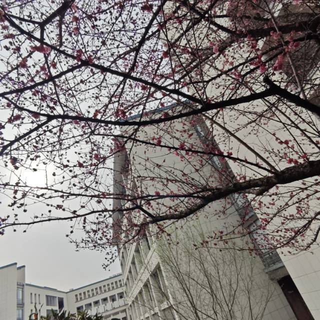 忙忙碌碌一周_1