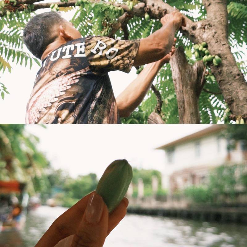曼谷|闹市旁的隐秘水路,误入野生巨蜥地盘🦎_4