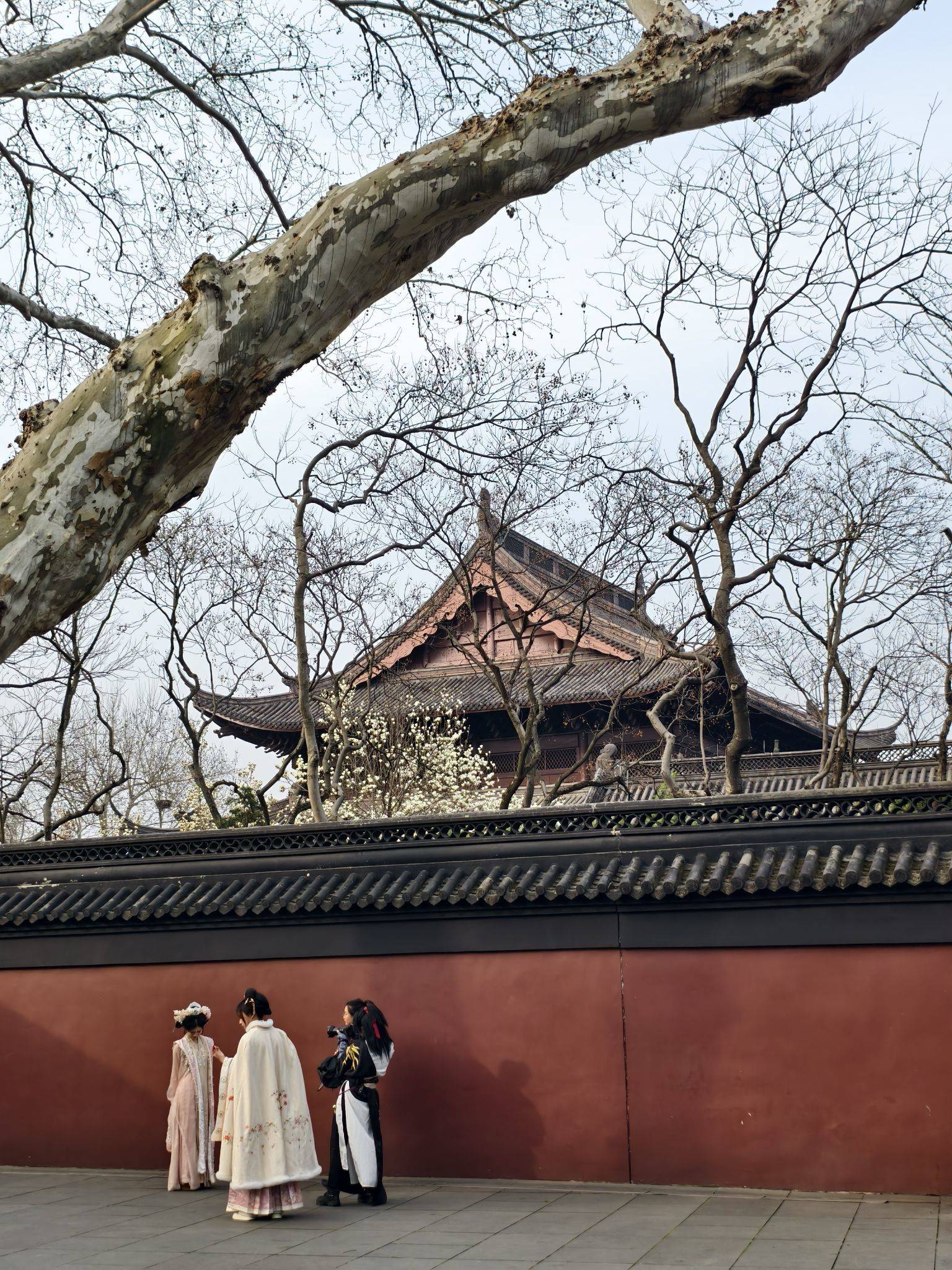 春色撩人
​昆虫的小触须挠着全世界的痒